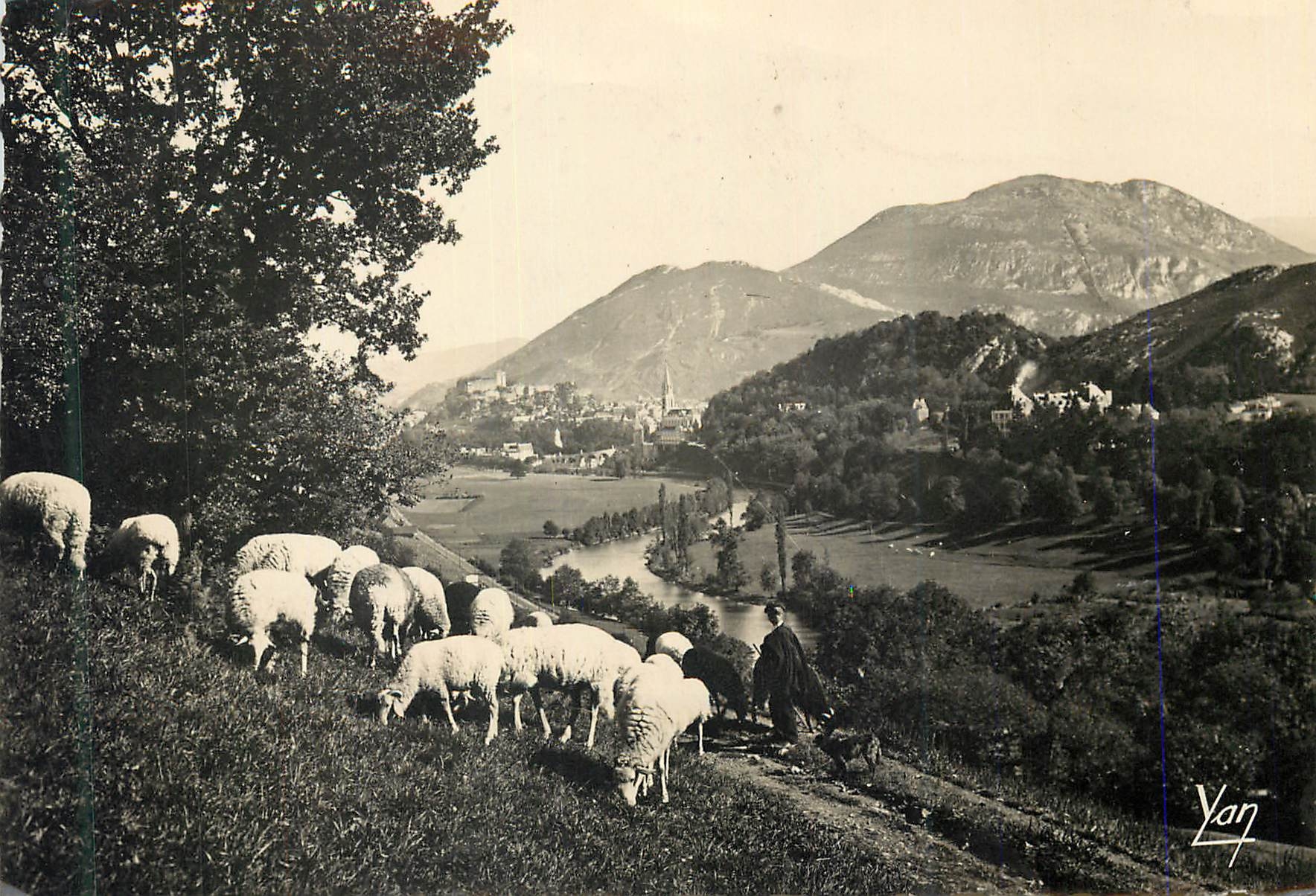 CPM 1013 lourdes la vallee et le pic du jer Moutons