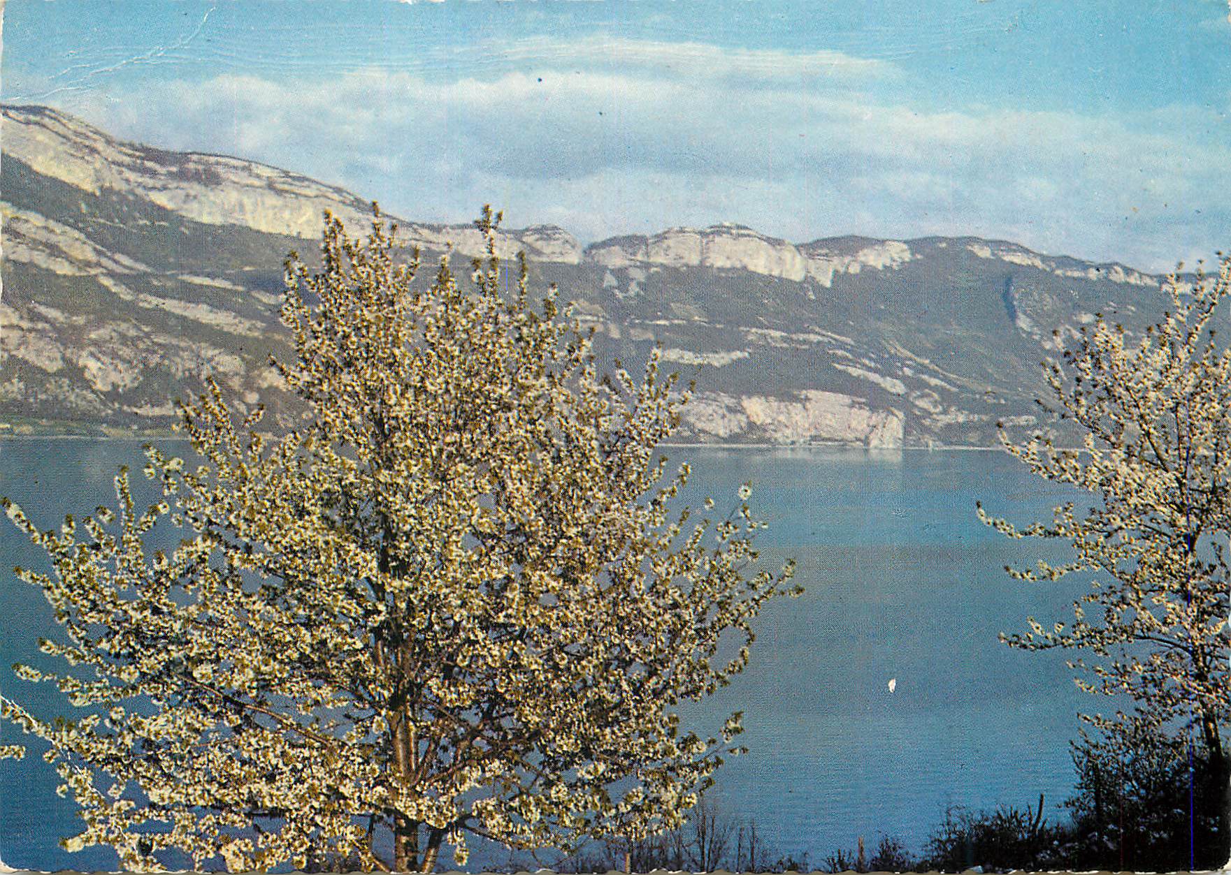 CPM 505 lac du bourget au printemps chaine et rochers de la chambotte
