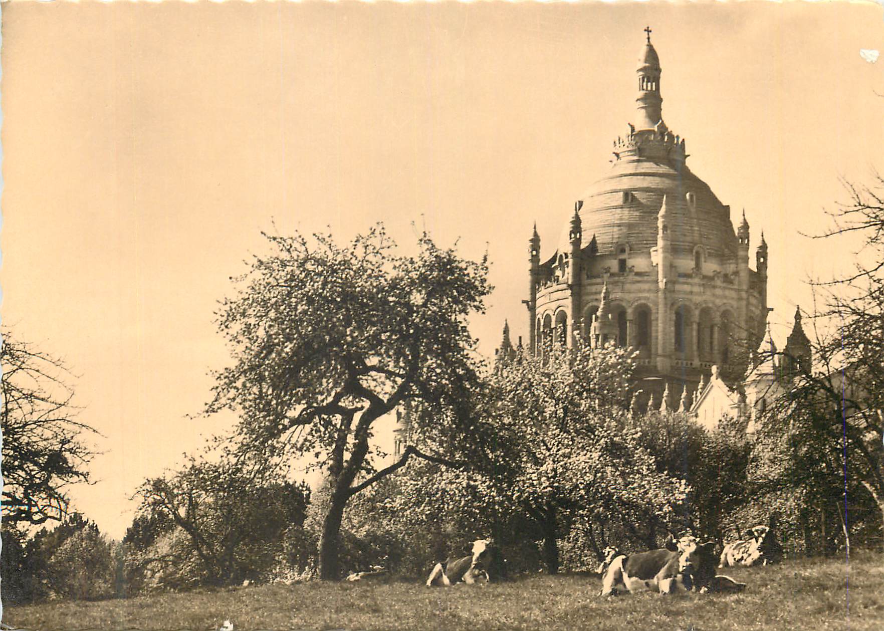 Basilika von Lisieux — Der Dachreiter über den Feldern — Photo Sturler