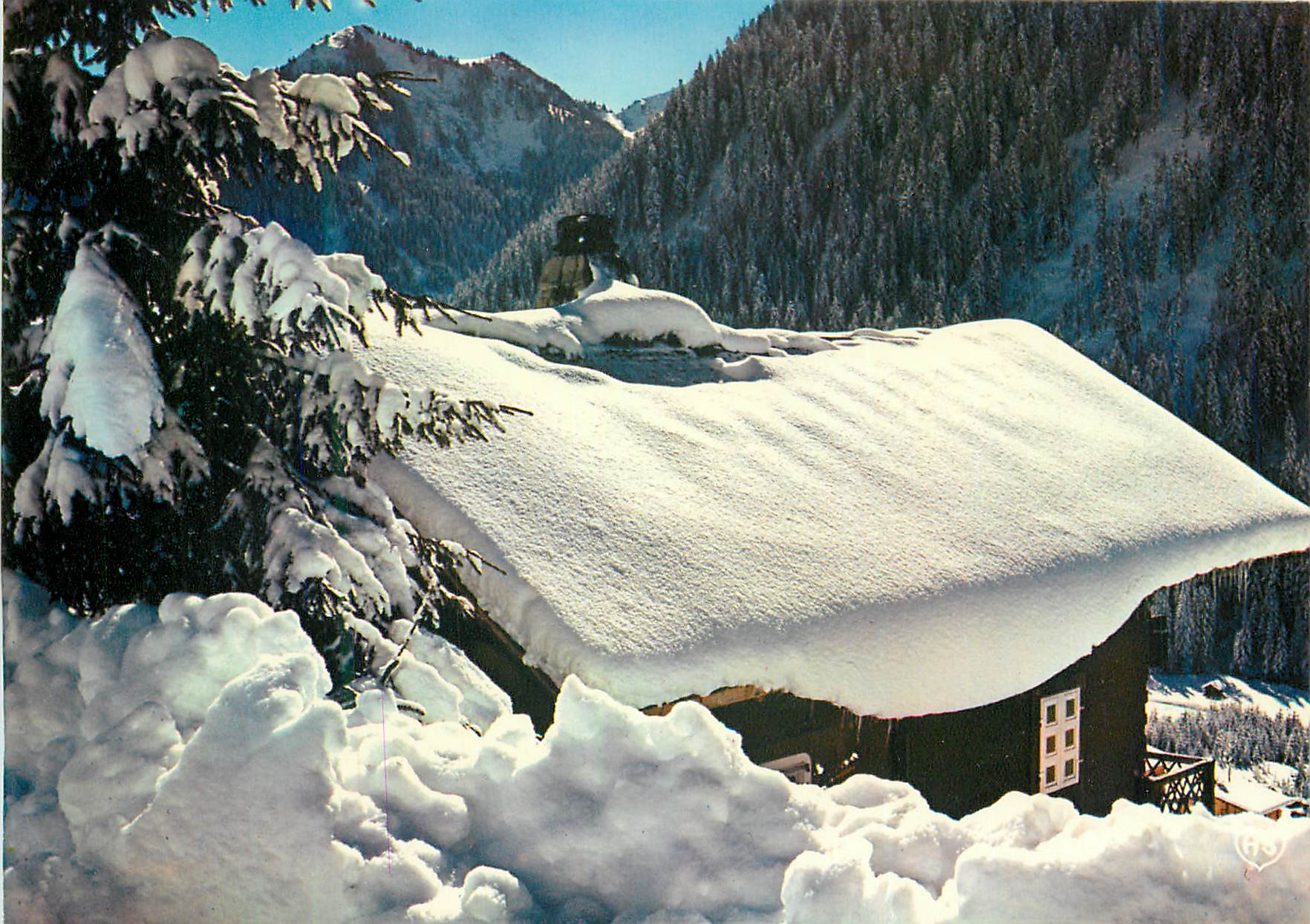 CPM Images de nos montagnes en hiver h 1117 frileusement cache dans la neige