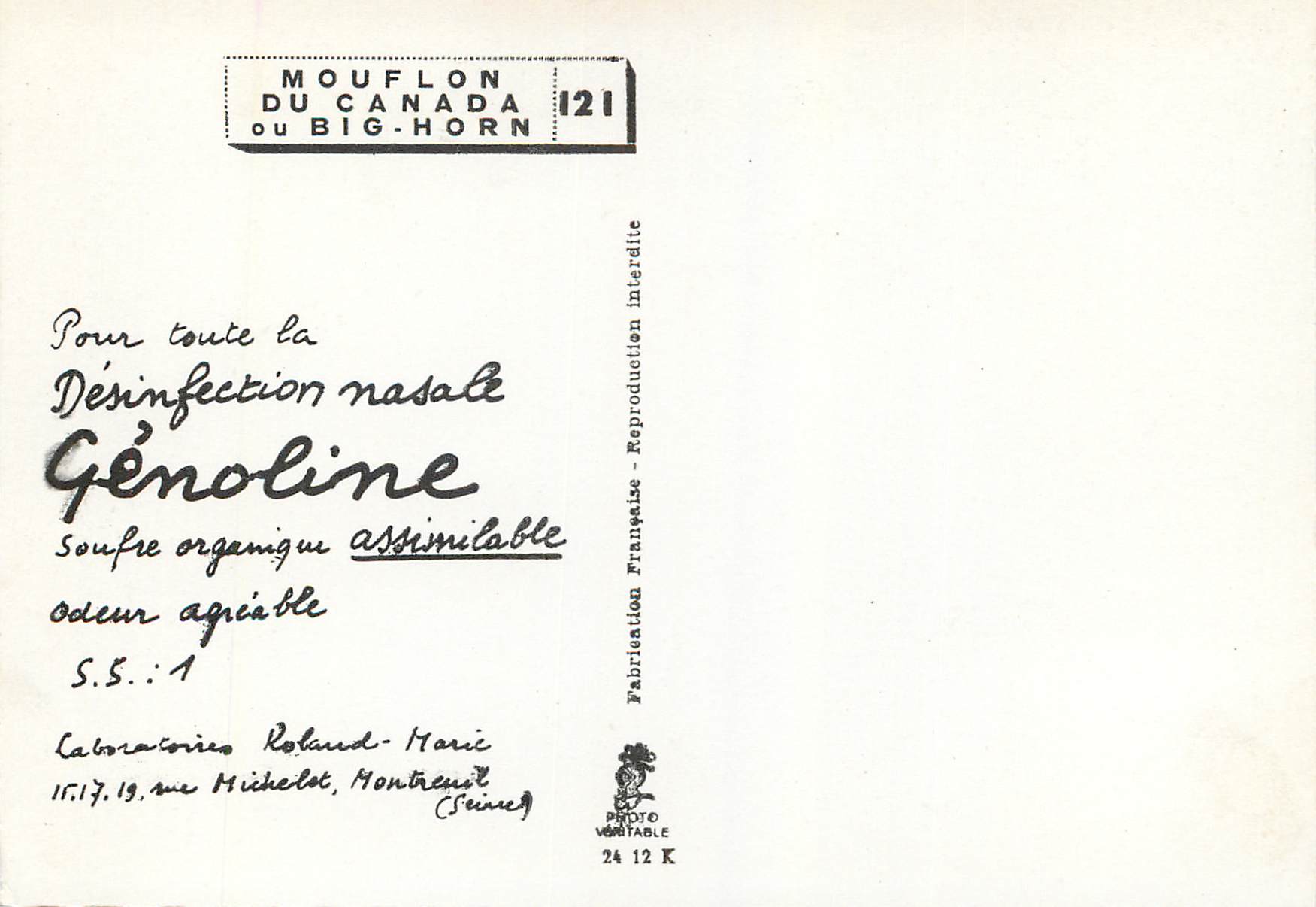 CPM Mouflon du canada ou big horne 121 — Back