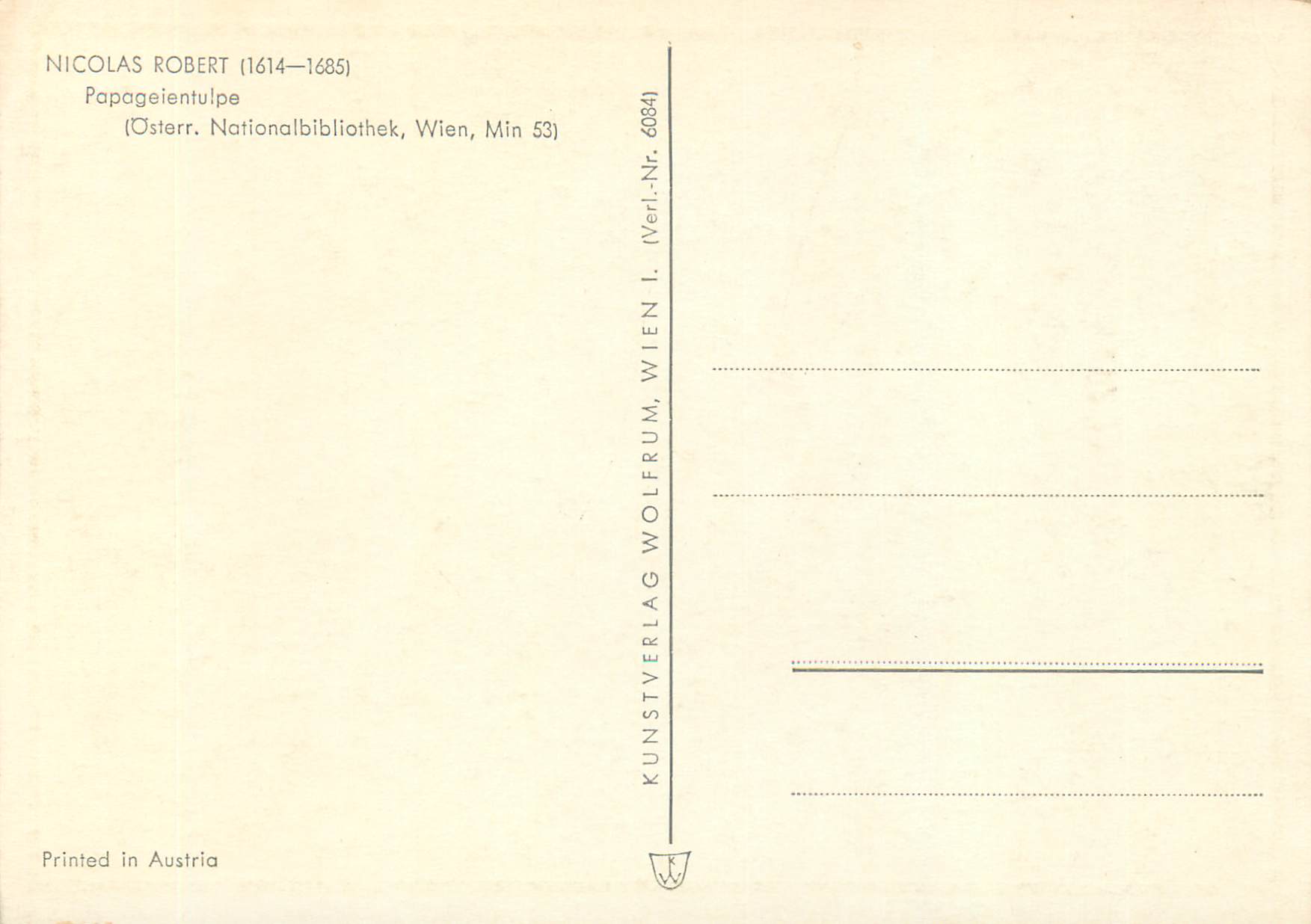 CPM Nicolas robert(1614 1685) papageientulpe — Verso