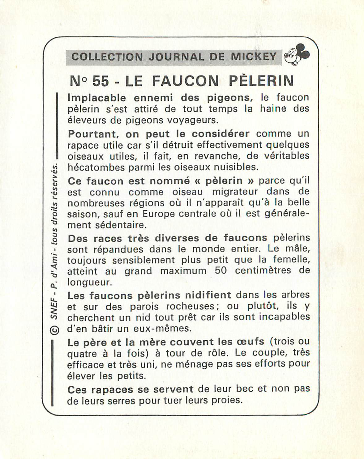 Faucon pèlerin — Collection Journal de Mickey, n°55 — SNEF - P. d'Ami — Back