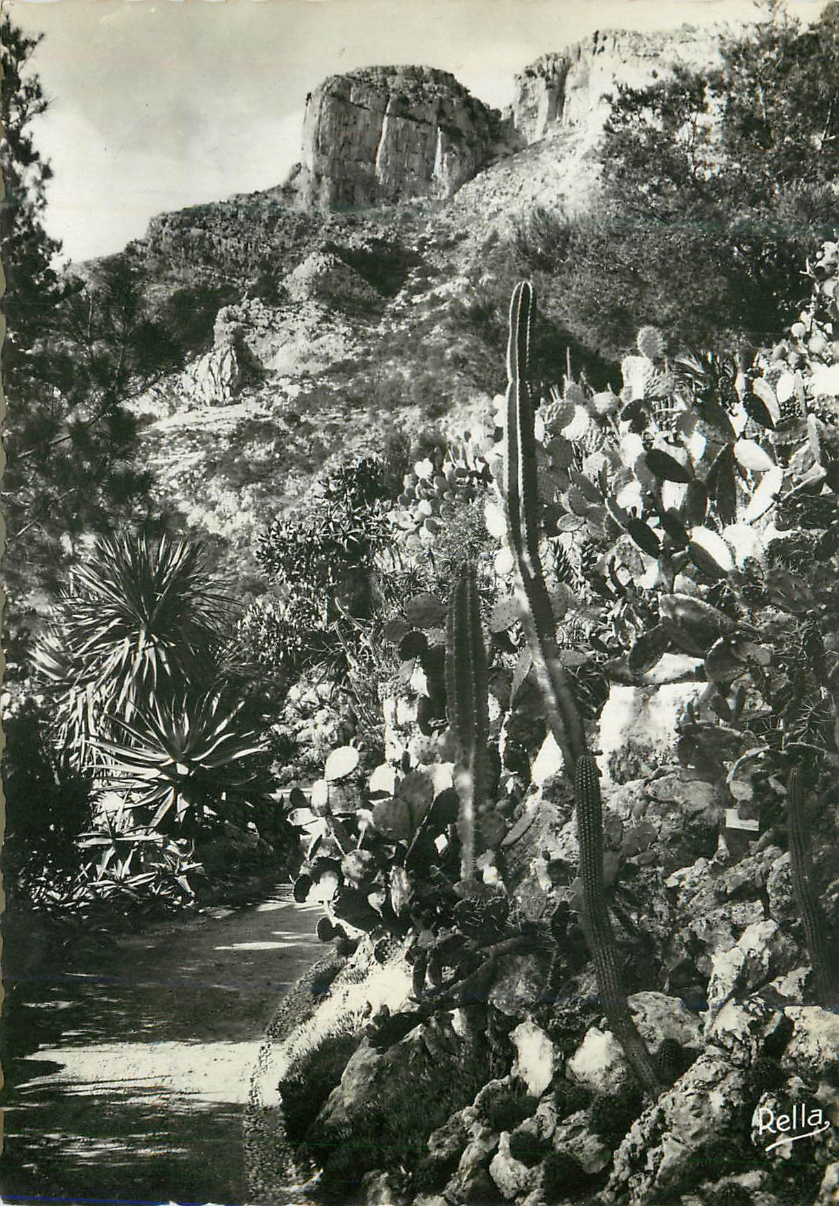 CPM La cote d azur 153 monte carlo la tete  de chien vue des jardins exotiques