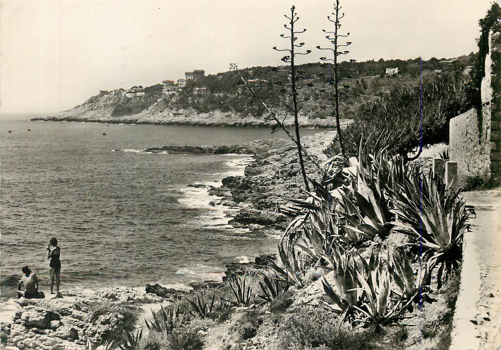 CPM La cote d azur st jean cap ferrat sentier touristique
