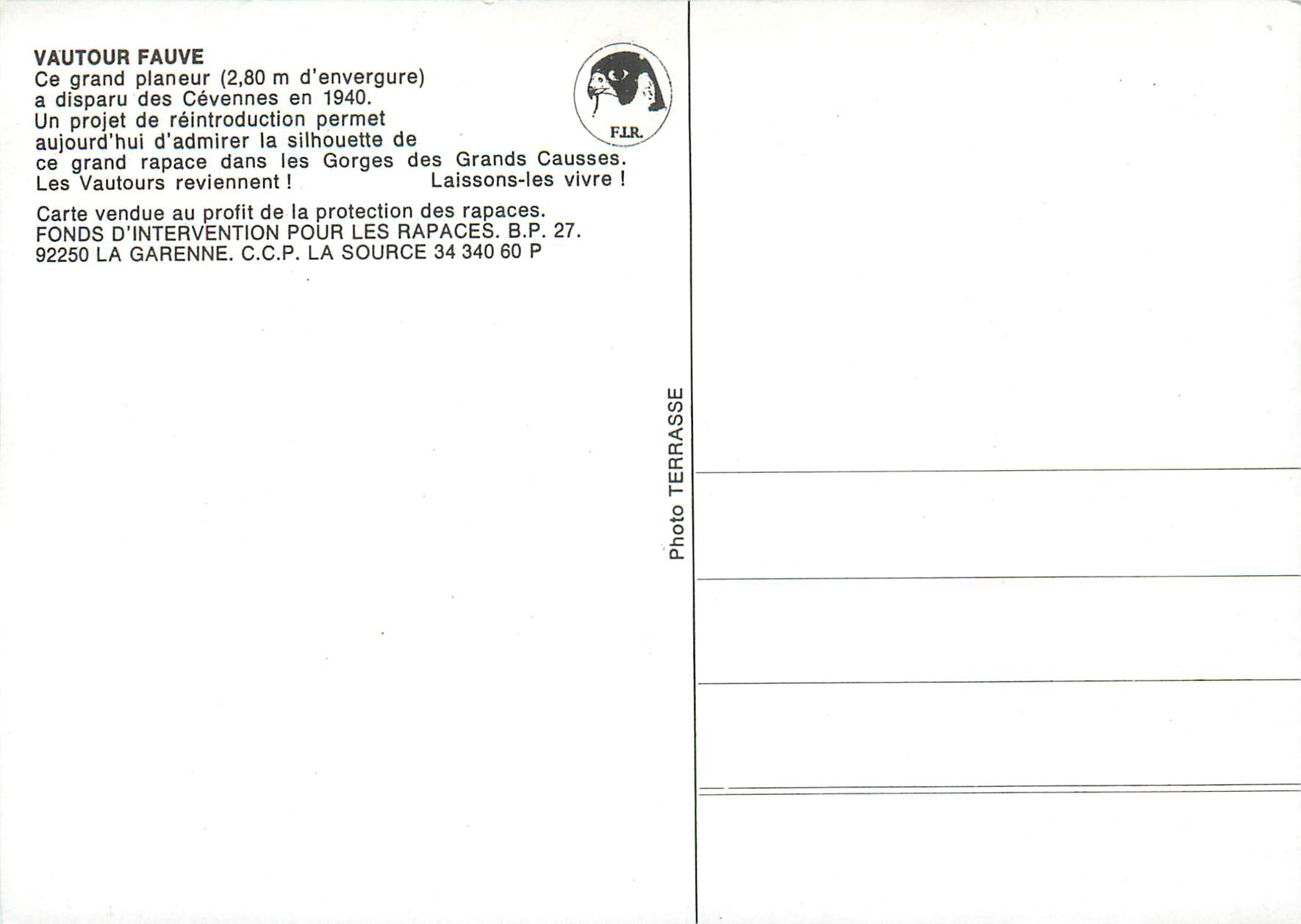CPM Vautour fauve ce grand planeur (2 80 m d envergure) a disparu des cevennes en 1940 — Back