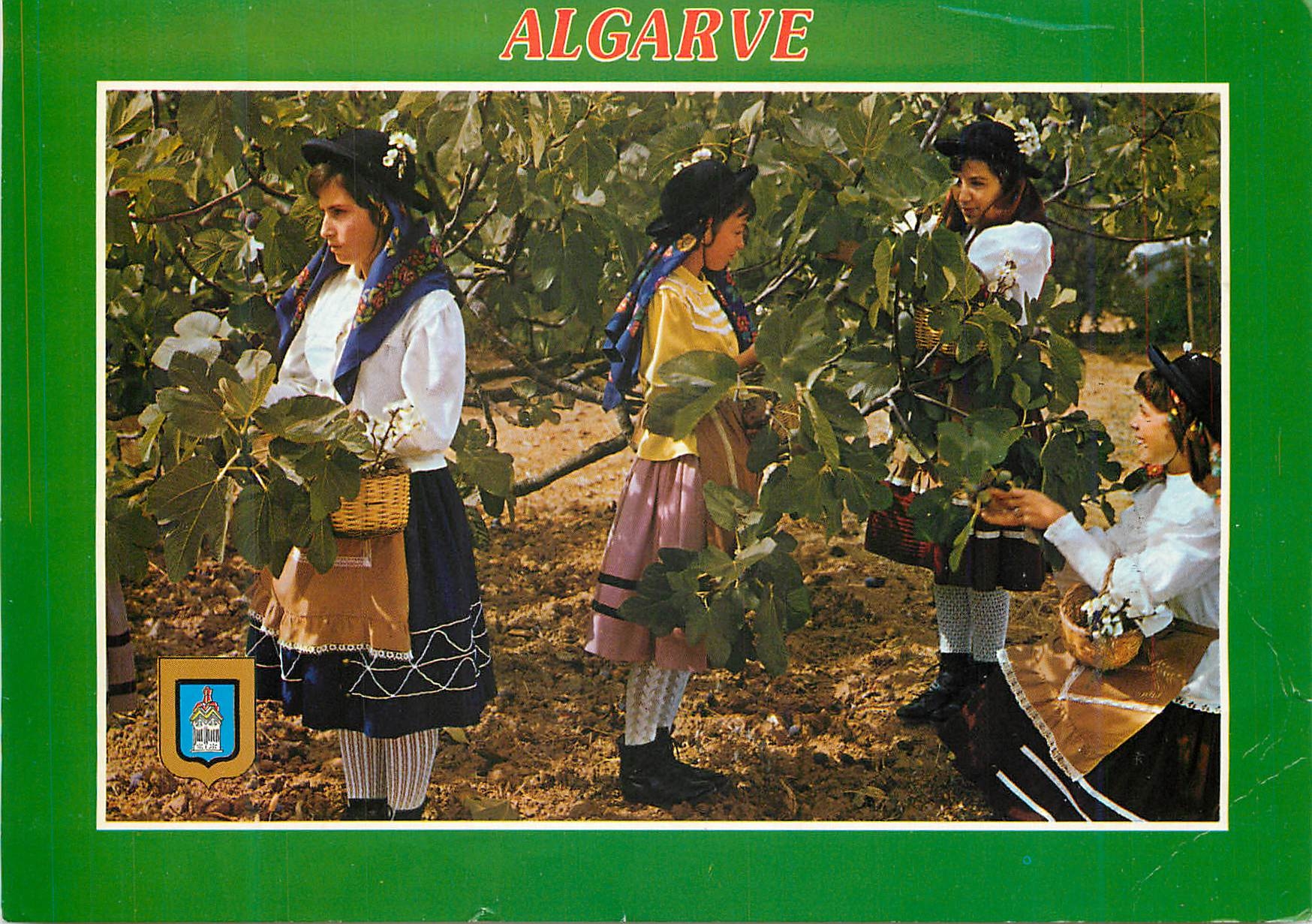 Algarve — Récolte de figues — LIFER, Porto, n° 196