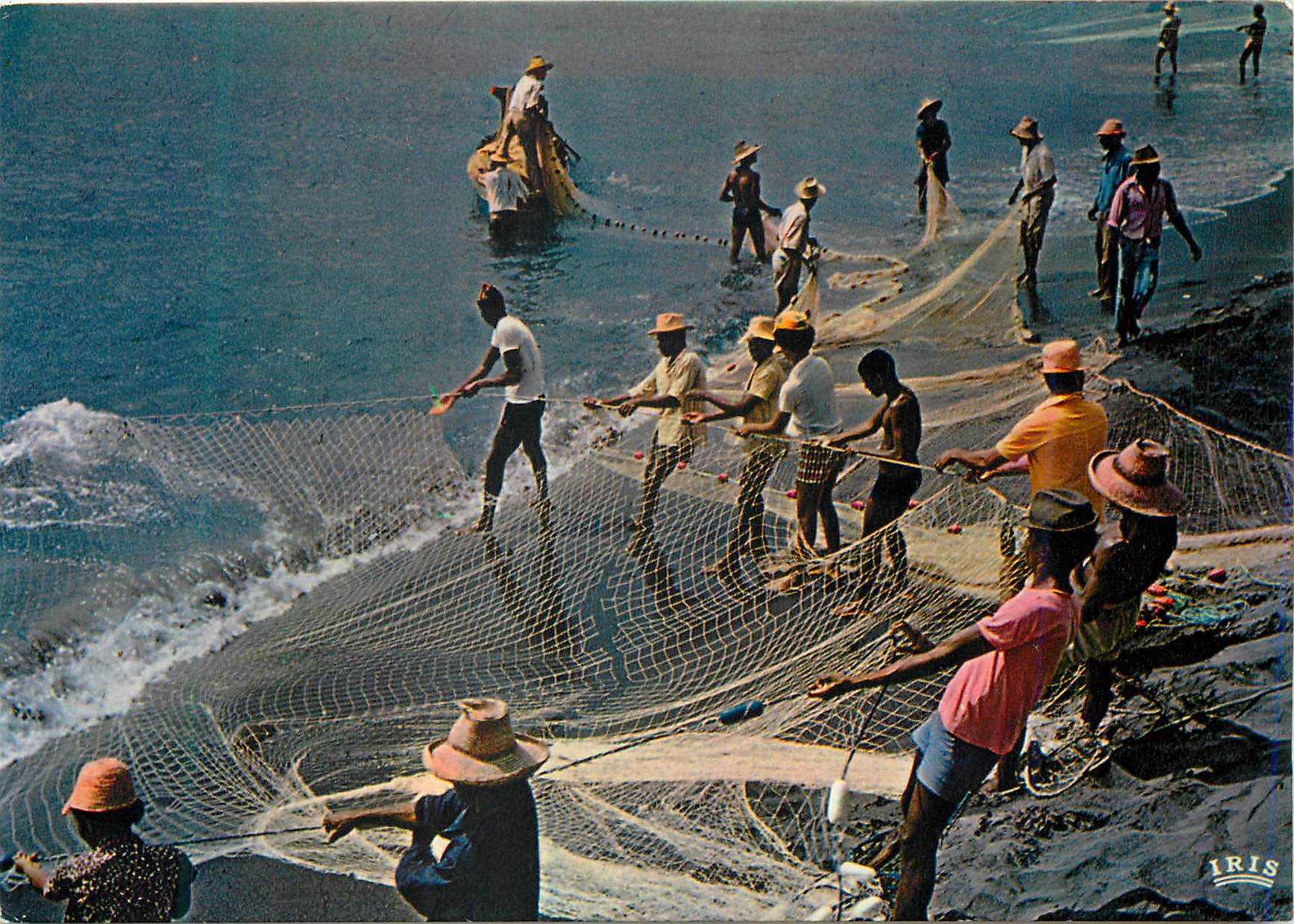 CPM Antilles francaises 7112 peche a la seyne net fishing Peche