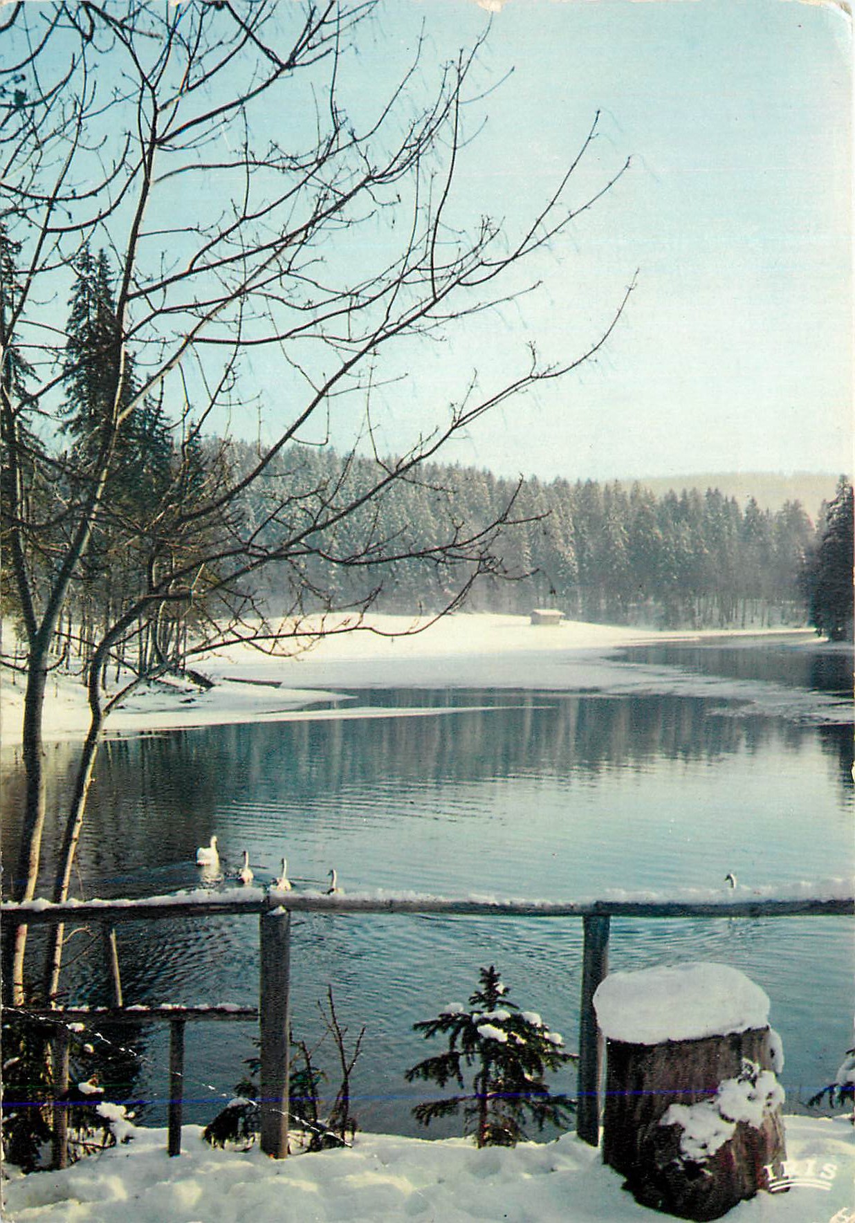CPM La franche comte sous la neige 2564004 le lac de saint point