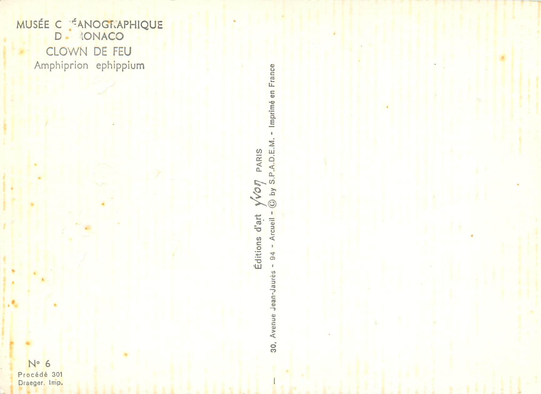 CPM Musee oceanographique de monaco clown de feu amphiprion ephippium — Rückseite