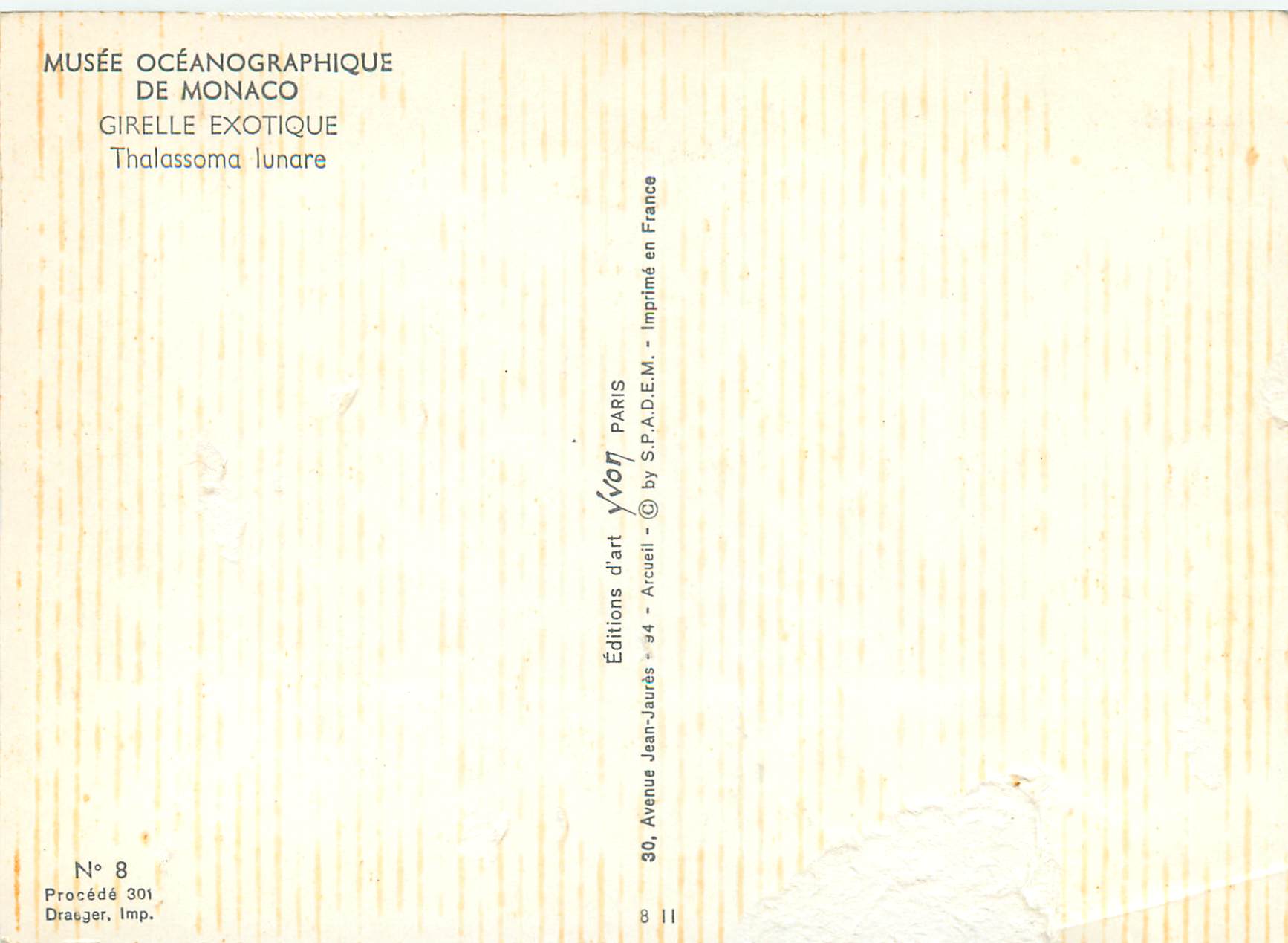 CPM Musee oceanographique de monaco girelle exotique thalassoma lunare — Rückseite