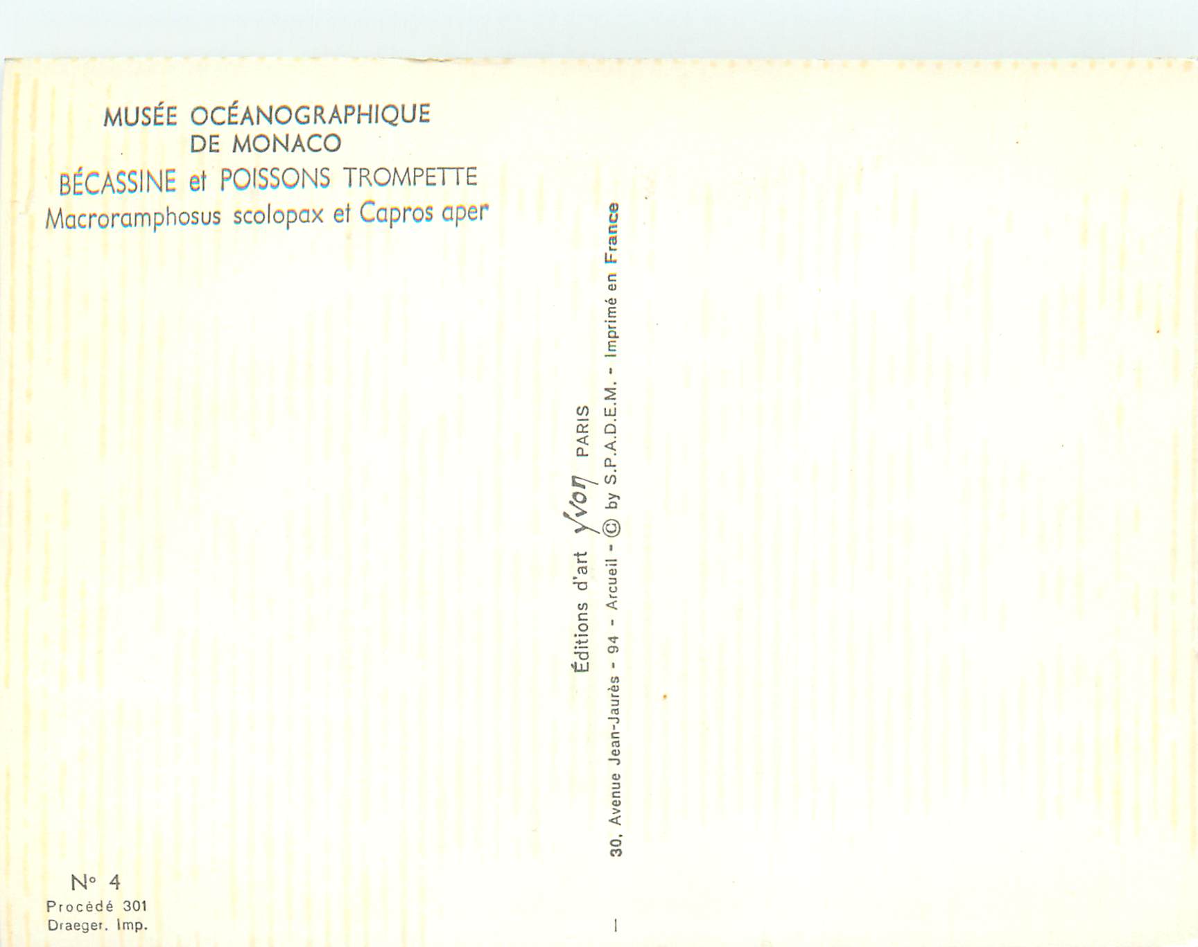 CPM Musee oceanographique de monaco becassine et poissons trompette — Rückseite