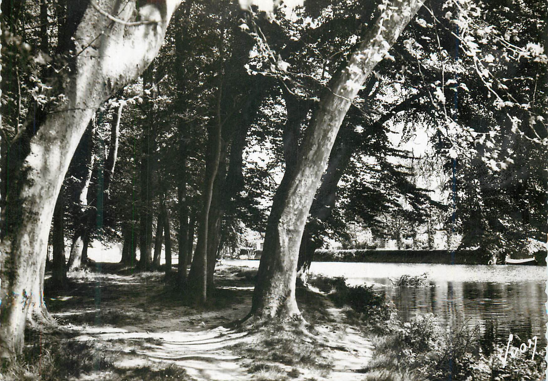 Allée au bord de l'Orne — CAEN (Calvados) — Éditions d'Art 'YVON' Paris
