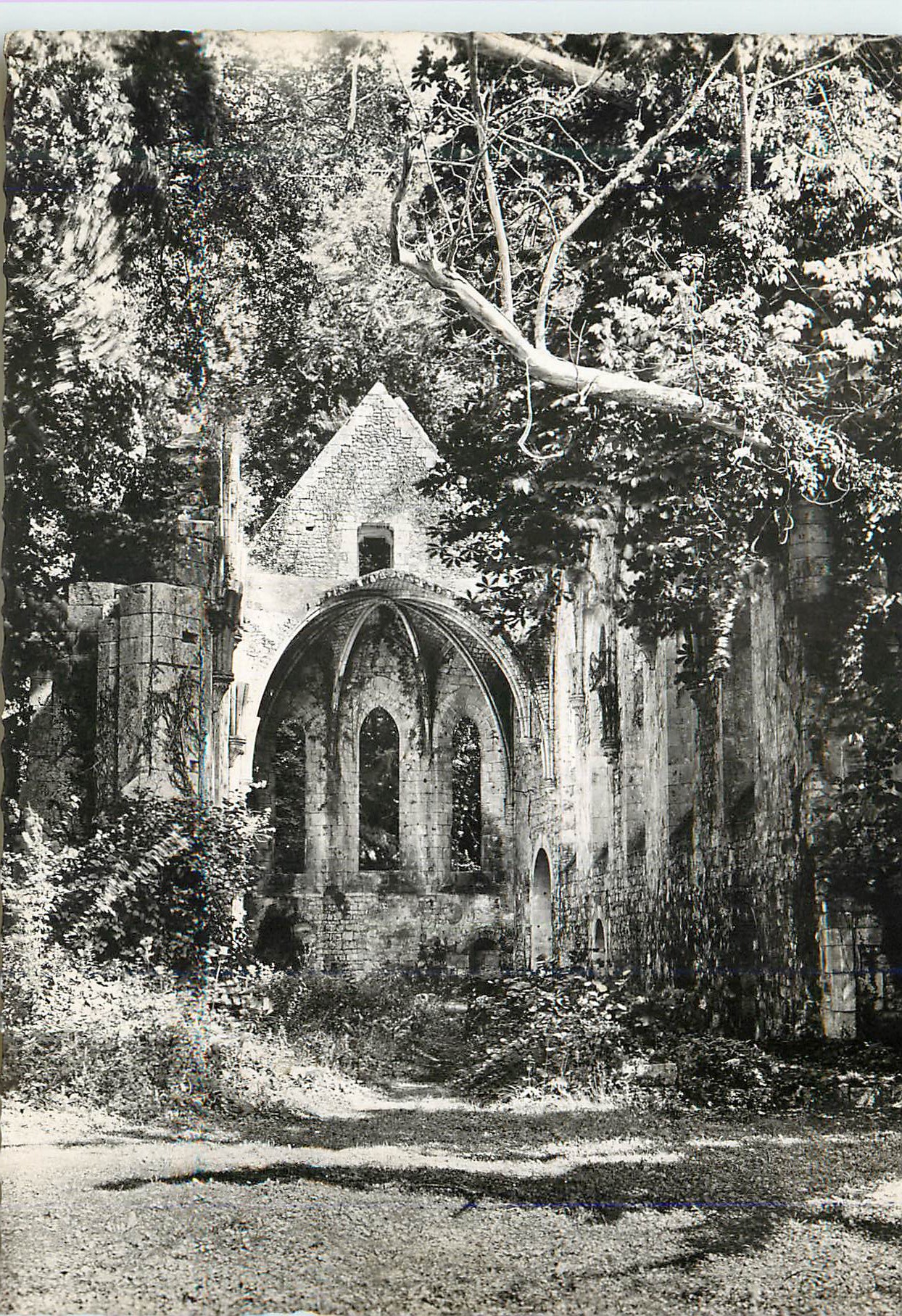 CPM Pont saint pierre ruines de l abbaye de fontaine guerard