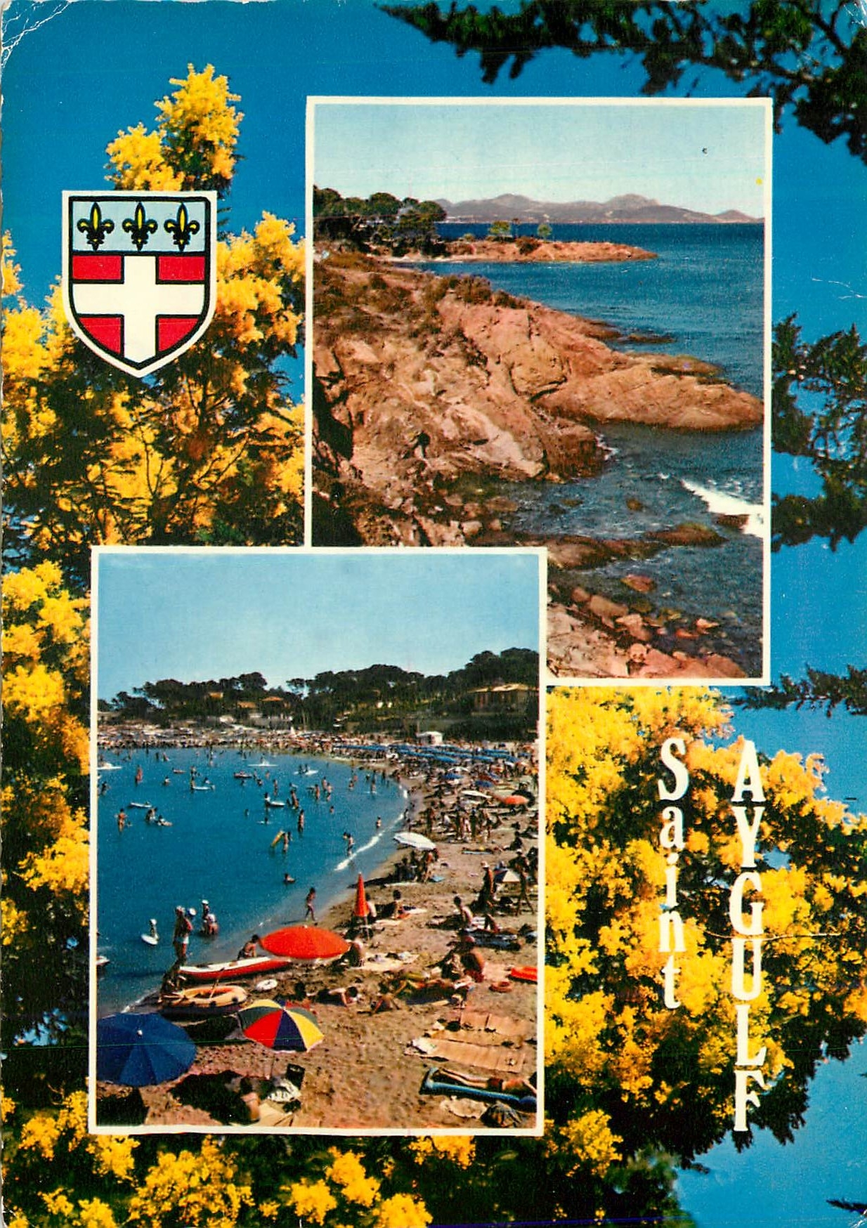 CPM La cote d azur varoise 8 21 saint aygulf(var)