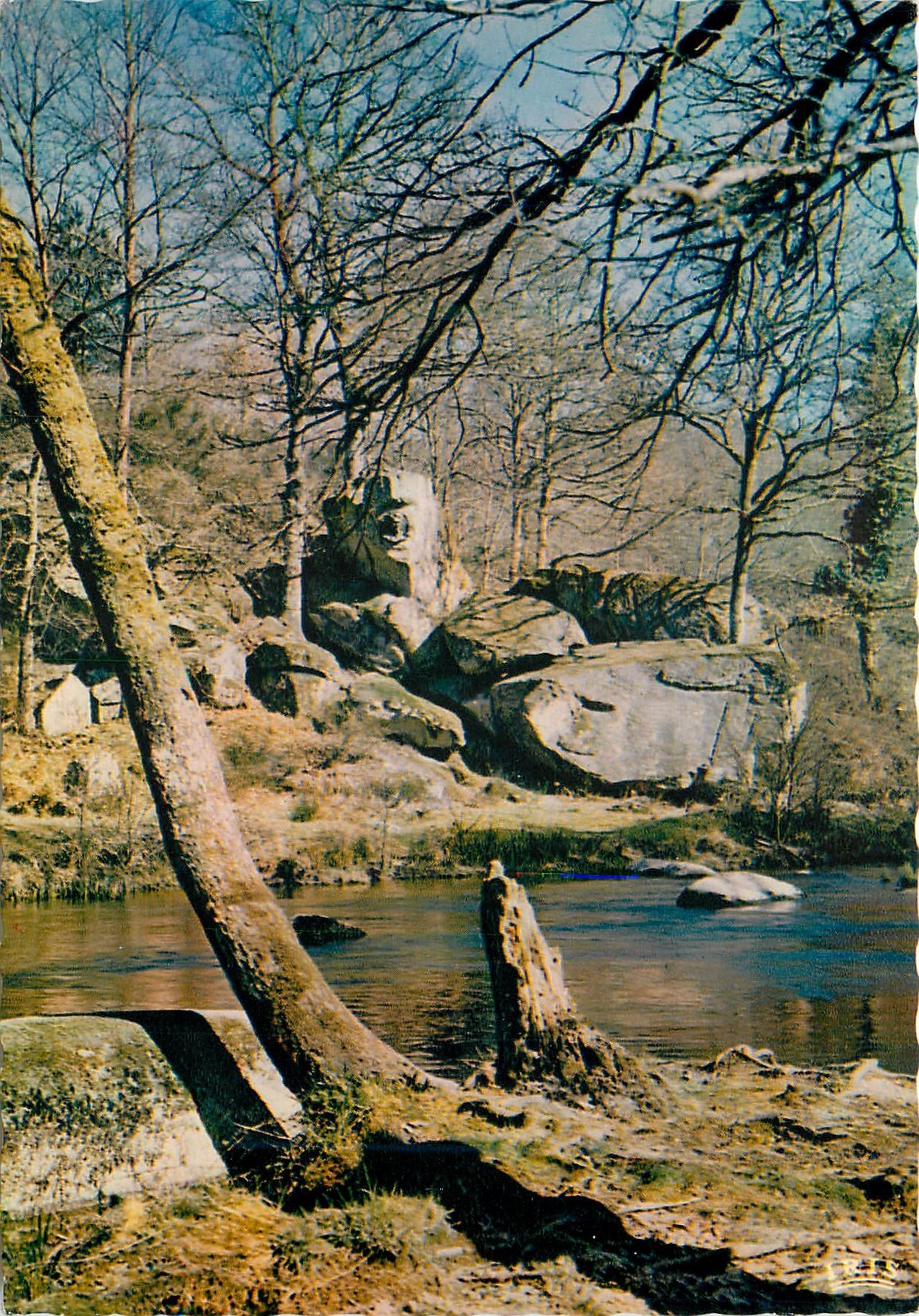 CPM Saint junien (haute vienne) 4 les bords de la glans et le site corol