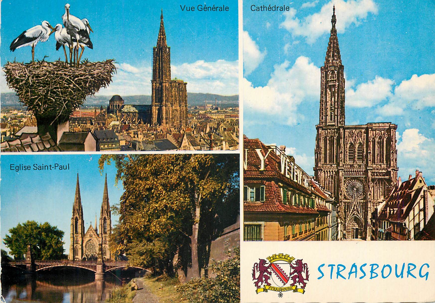 CPM 102 67 strasbourg Vue generale Cathedrale Eglise Saint Paul