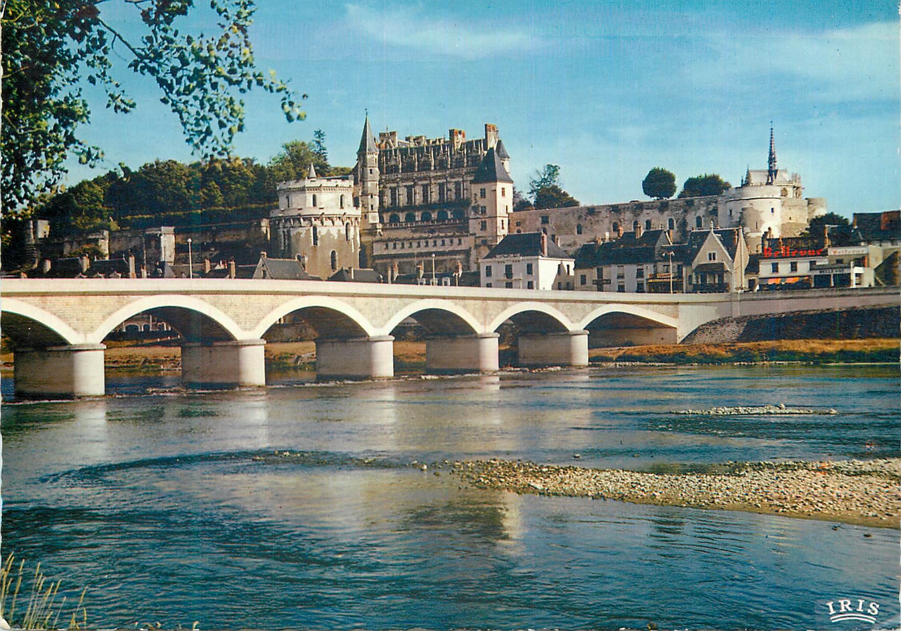 CPM Amboise 1858 le chateau xv siecle et la loire