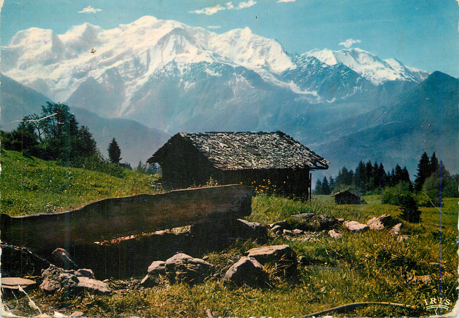 CPM 2524 panorama sur la chaine du mont blanc depuis plaine joux