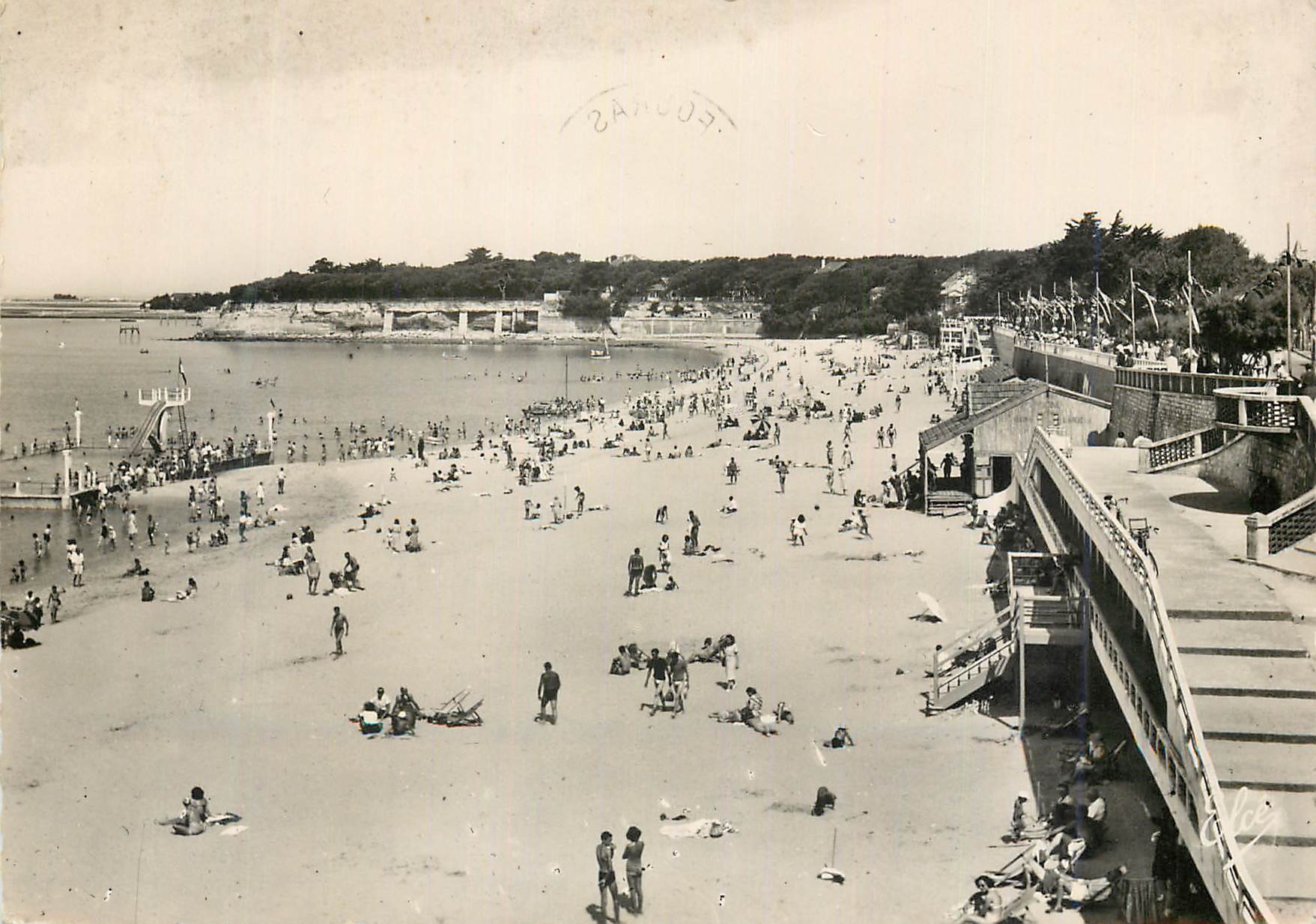 CPM 11707 fouras chte mme la grande plage vue depuis le semaphore