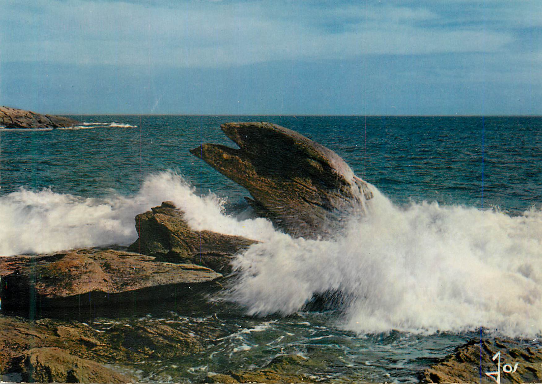 CPM La bretagne en couleurs presqu ile de quiberon (morbihan) mx 2452 l aigle un jour de tempete