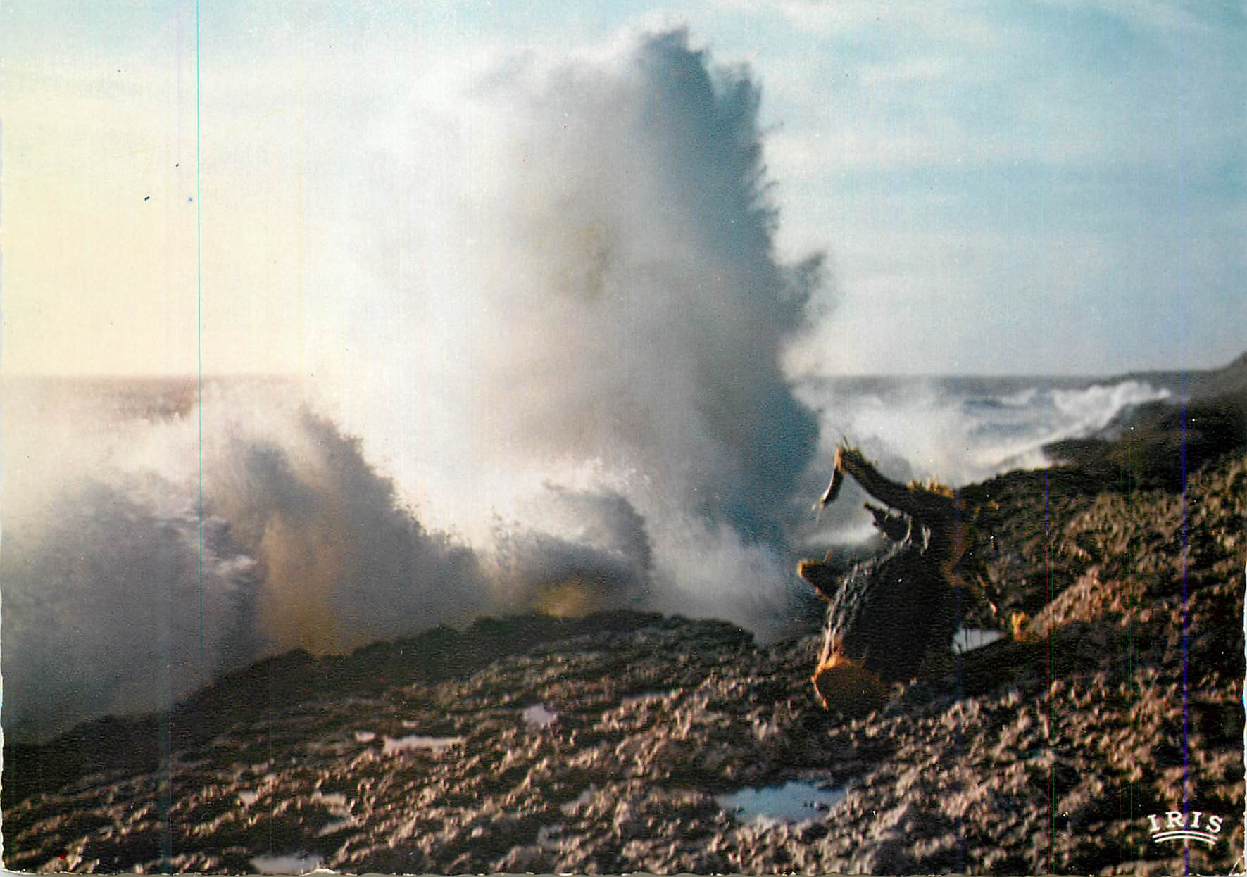 Côte de Beauté — Effet de vagues entre Saint-Palais et la Grande Côte — éditeur IRIS