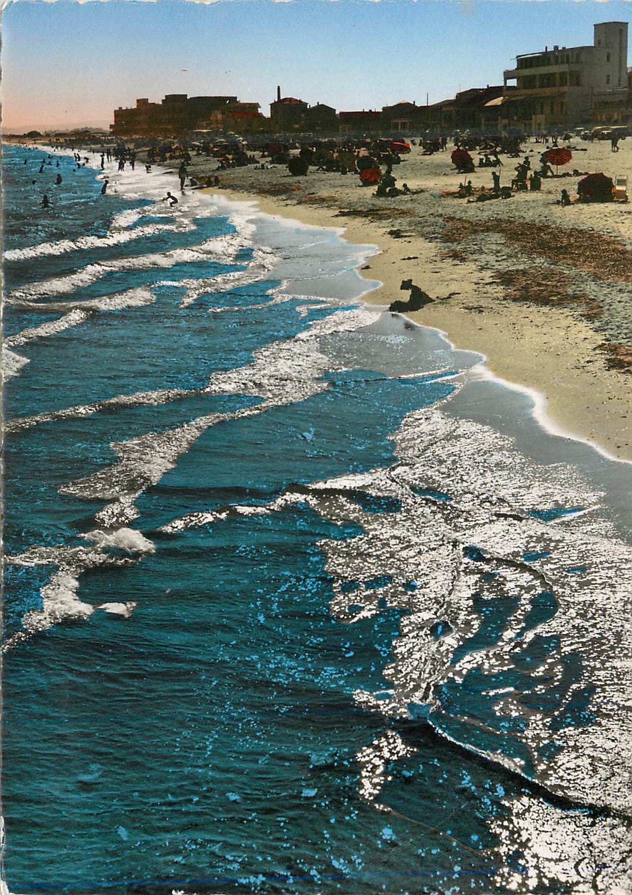 CPM 100 62 palavas les flots soleil couchant sur la plage rive droite