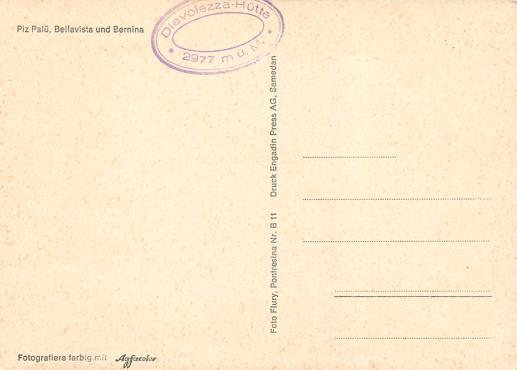 CPM Piz palu bellavista und bernina — Back