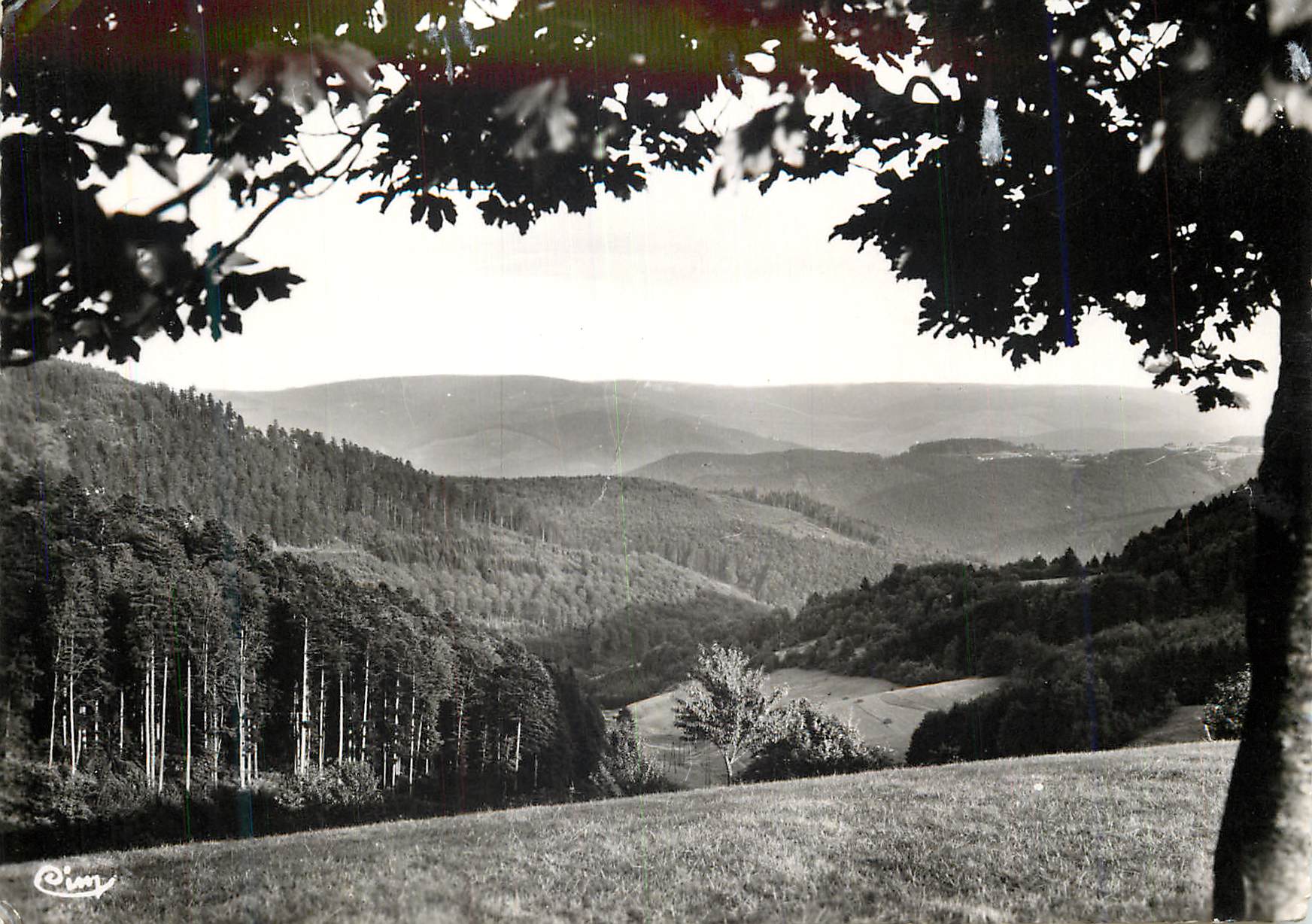 Le Donon (B.-Rhin) — Alt. 1008 m. — Joli paysage vu du Col du Donon — Combier Imp. Macon