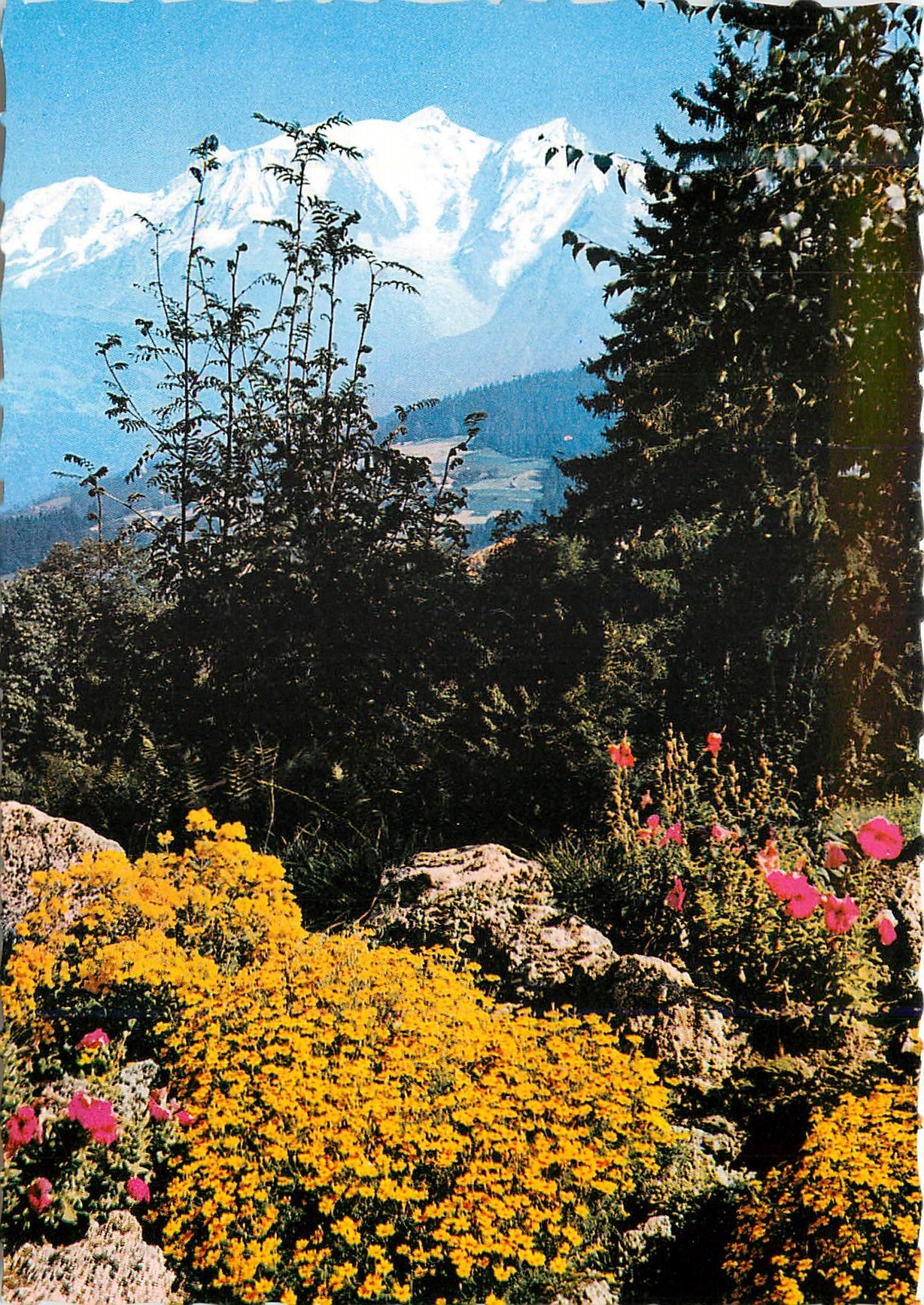 CPM Au pays du mont blanc