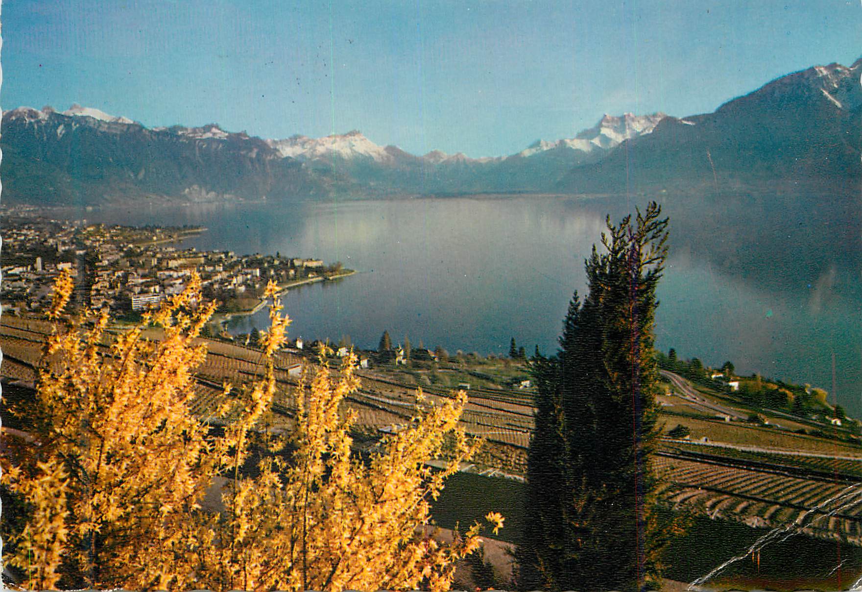 CPM Vevey Vue generale et les Dents du Midi