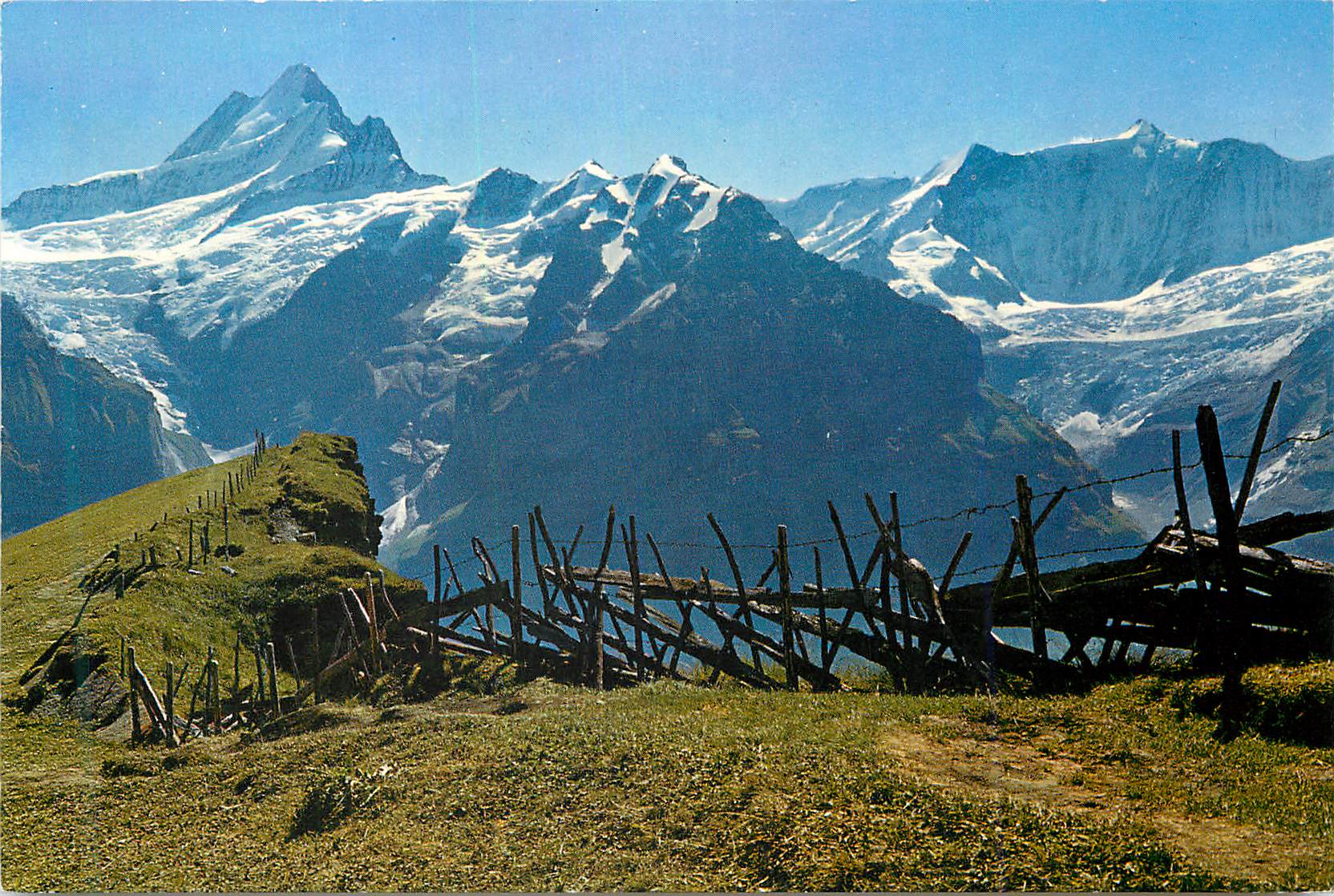 CPM Grindelwald First Schreckhorn und Flescherhorner