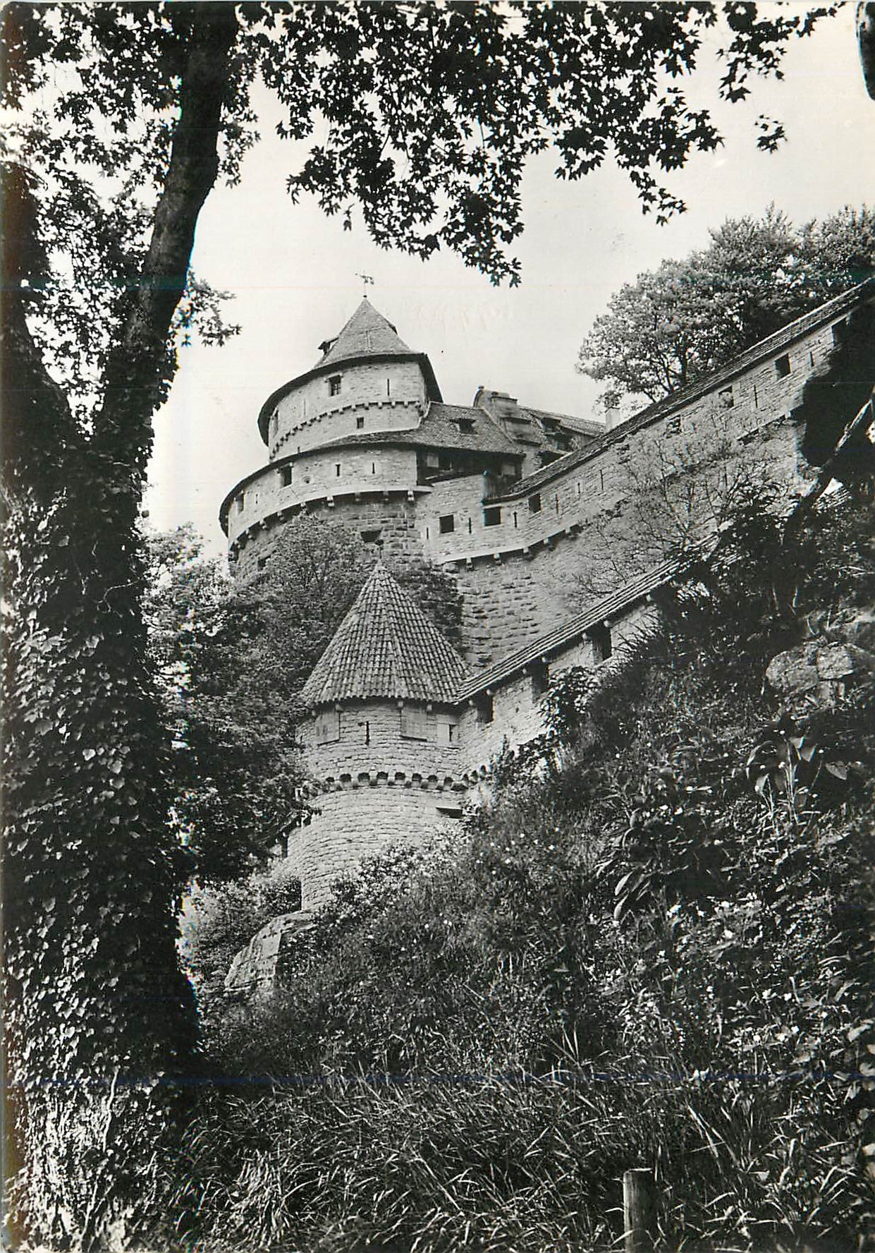 CPA Chateau du Haut Koenigsbourg Bas Rhin Tour au Nord Est