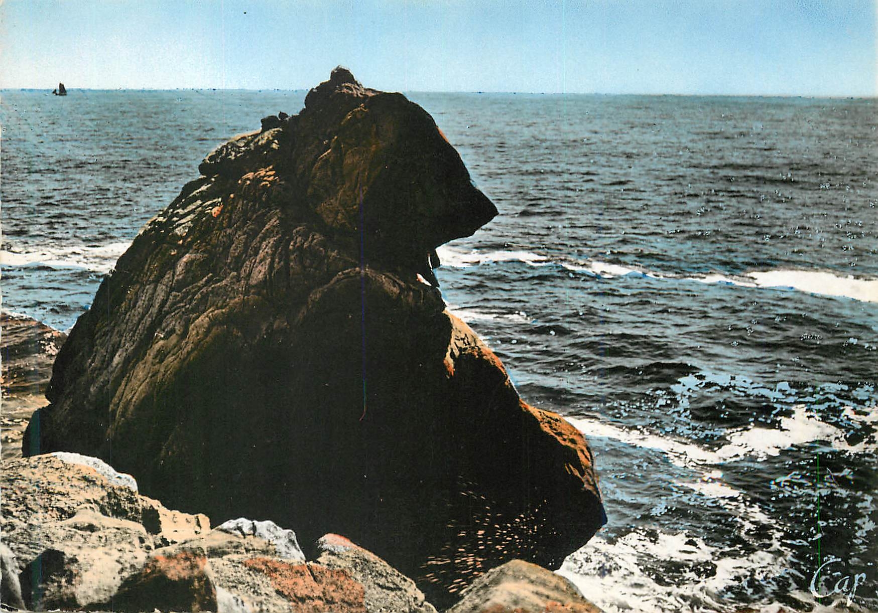 CPM La Grande Cote Etude de Rochers l Ours polaire