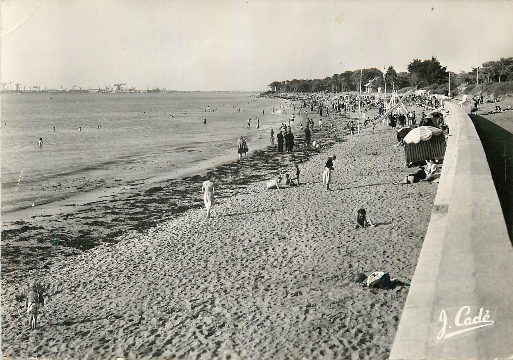 CPM La Cote de Jade Saint Brevin les Pins La Plage et sa Jetee