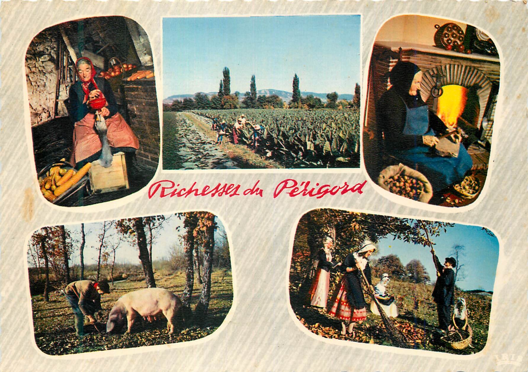 Richesses du Périgord — Éditions Modernes Théo Jac