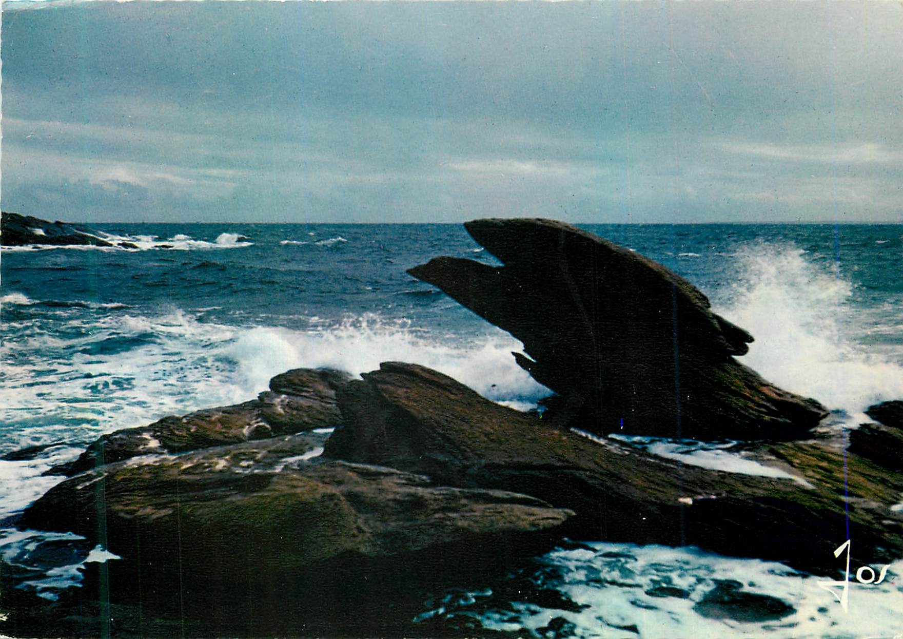 CPM La Bretagne en Couleurs Presqu ile de Quiberon Morbihan Sur la Cote Sauvage l Aigle