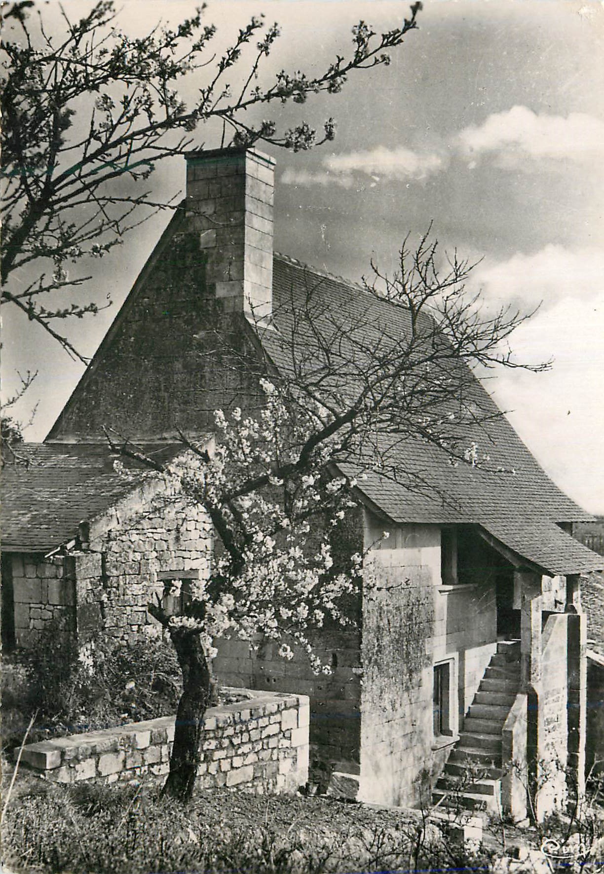 CPM Environs de Chinon La Deviniere Maison natale de Rabelais