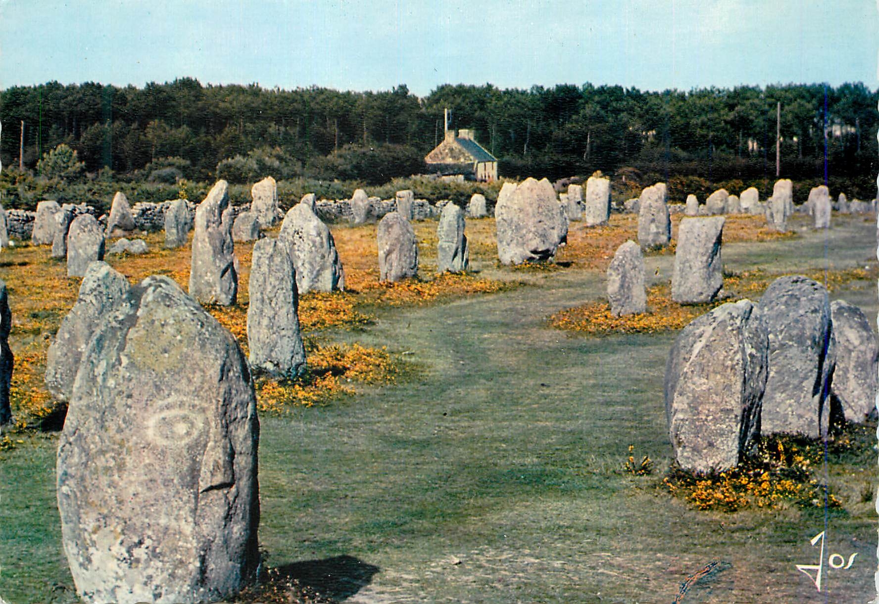 CPM La Bretagne en Couleurs Les alignements du Menec dans la region de Carnac