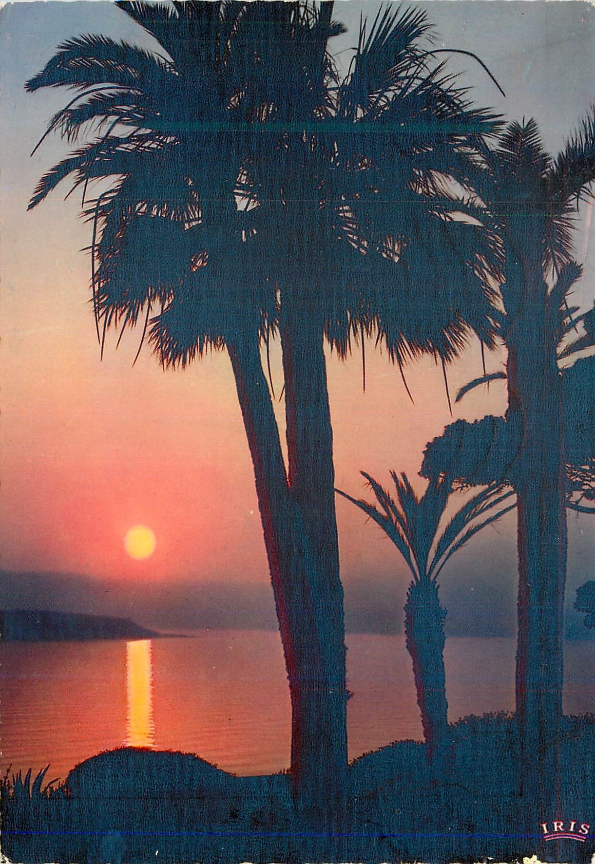 CPM Reflets de la Cote d Azur Coucher du Soleil