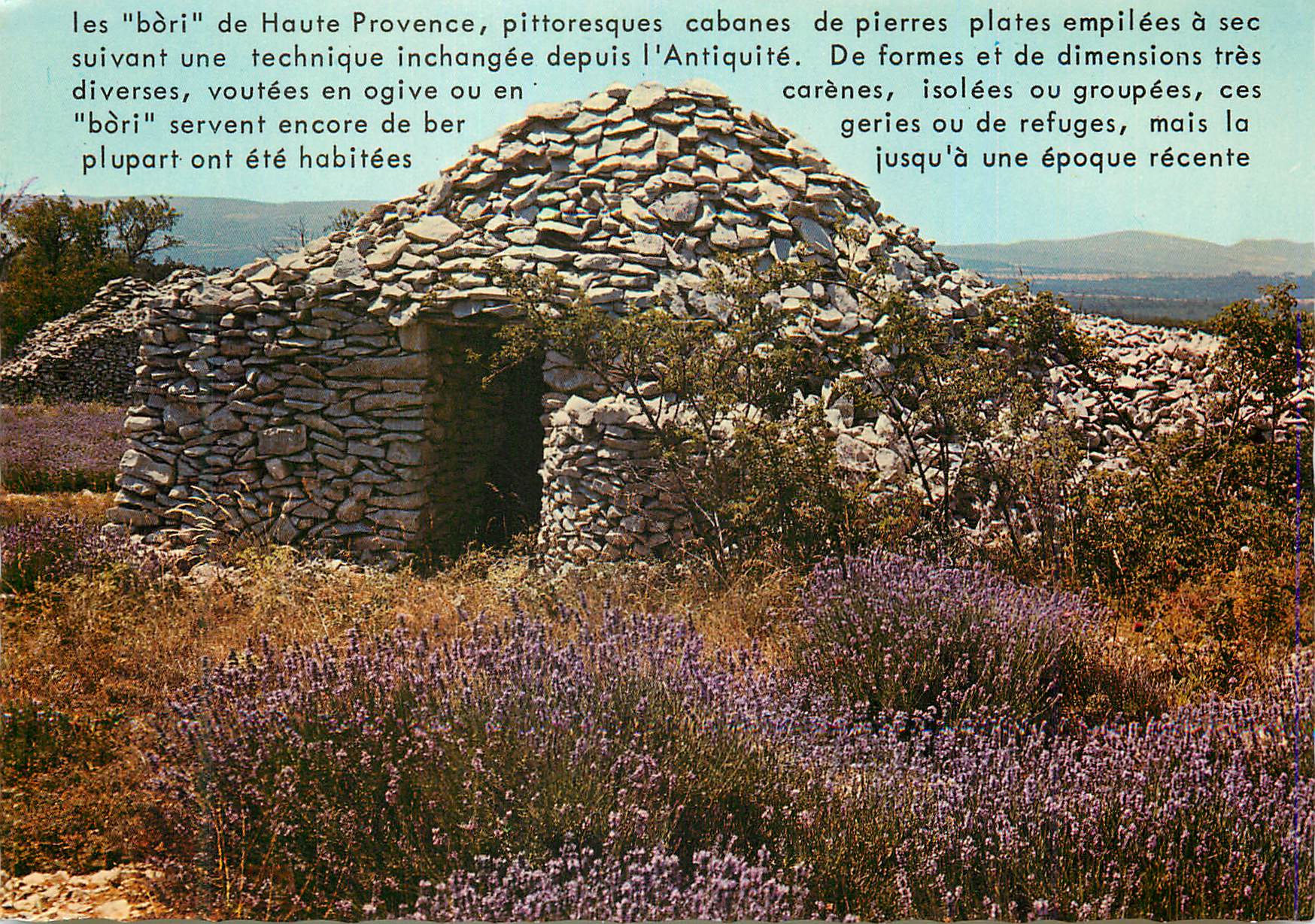 CPM Lavande et cabanon pointu