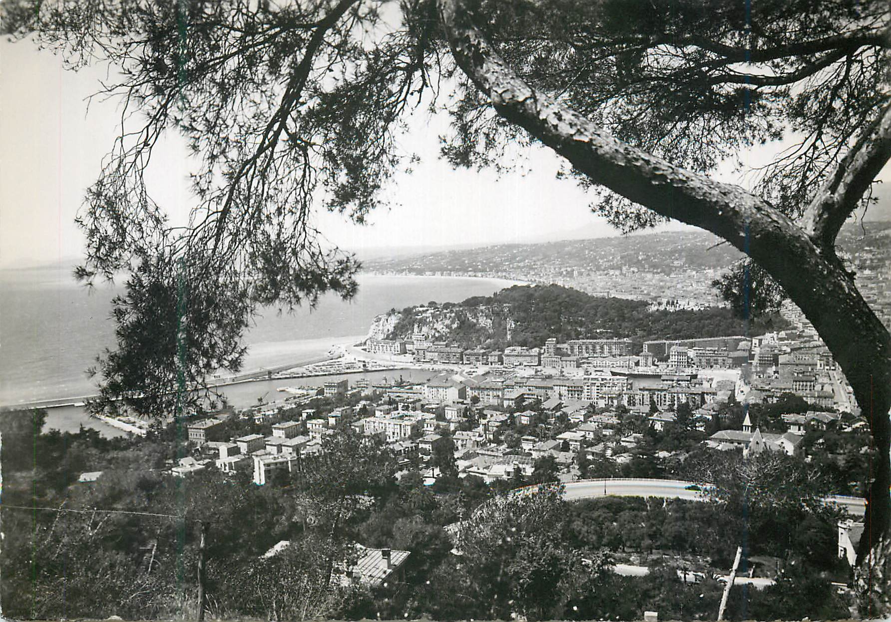 CPM Nice Vue Generale entre les Pins