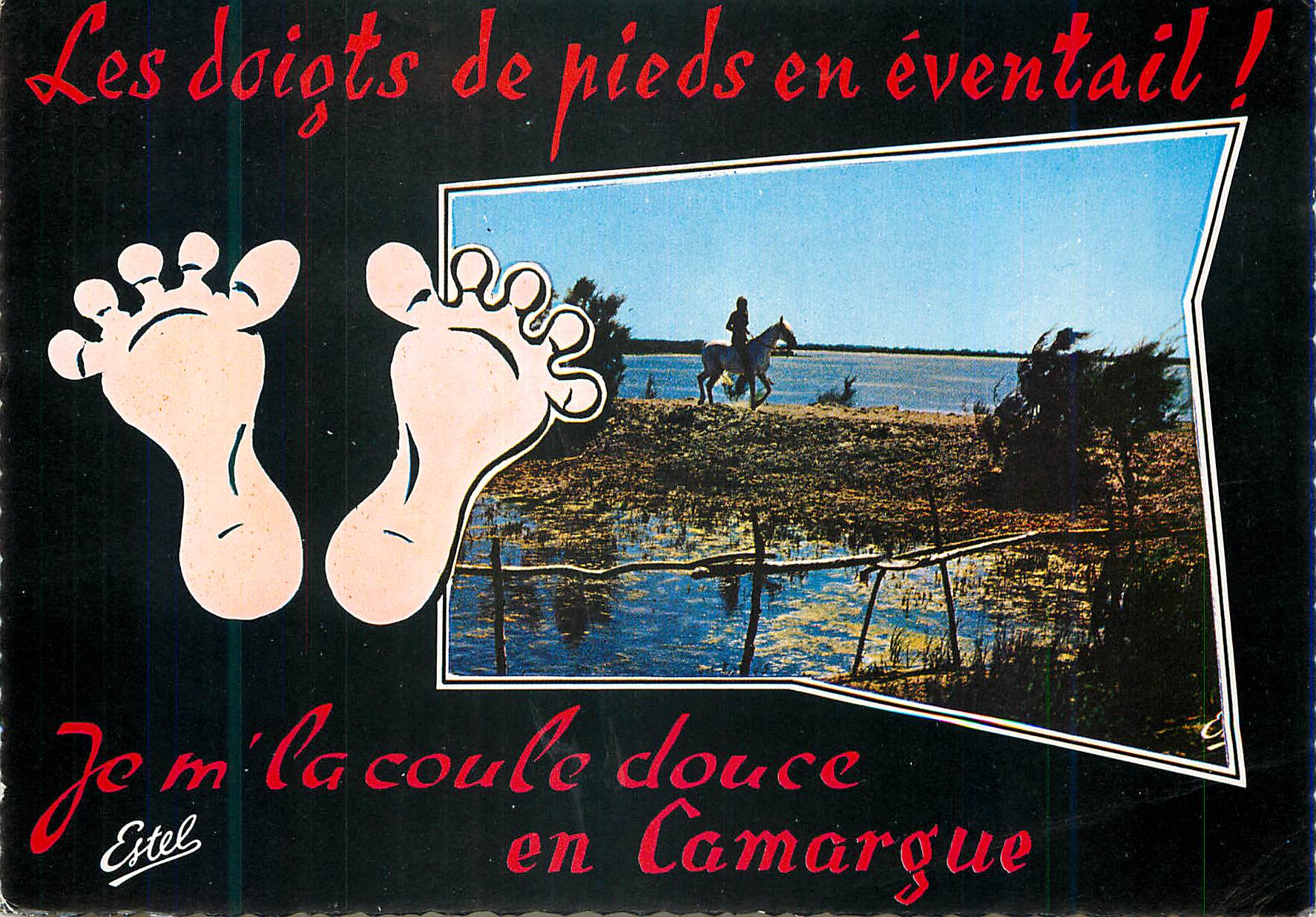 CPM Les doigts de pieds en eventail je m la coule douce eb Camargue Souvenir de Camargue