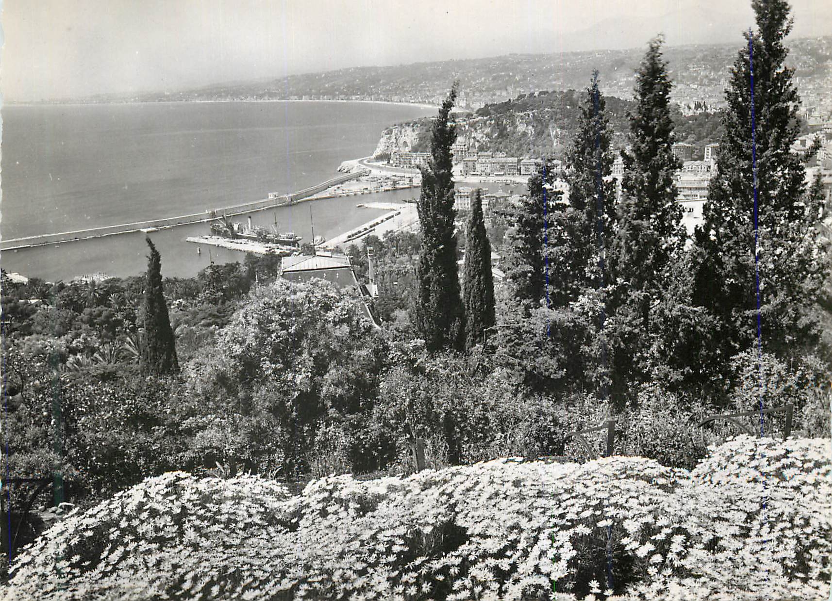 CPM La Cote d Azur Nice Vue generale prise du Mont Boron