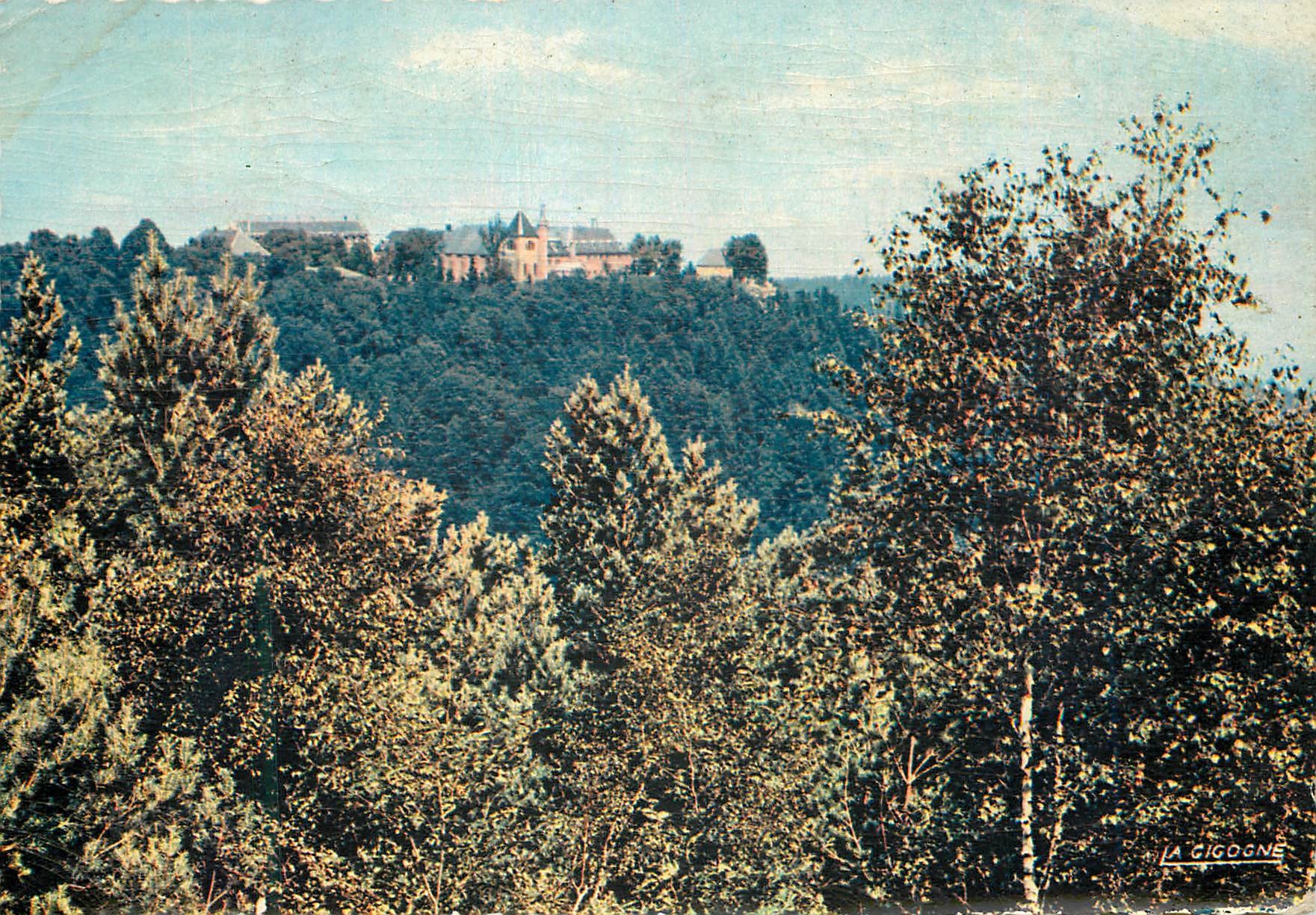 CPM Mont Sainte Odile Vue depuis le Mur Paten