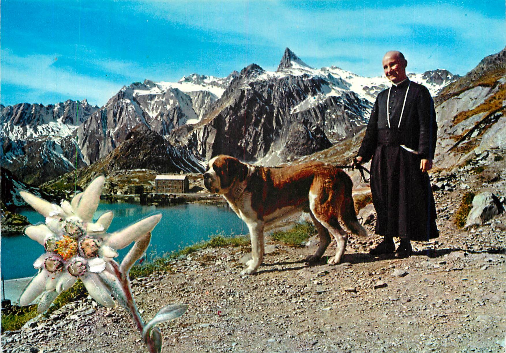 CPM Vallee d Aoste pittoresque The Great St Bernard Pass General view from the kennel Chien