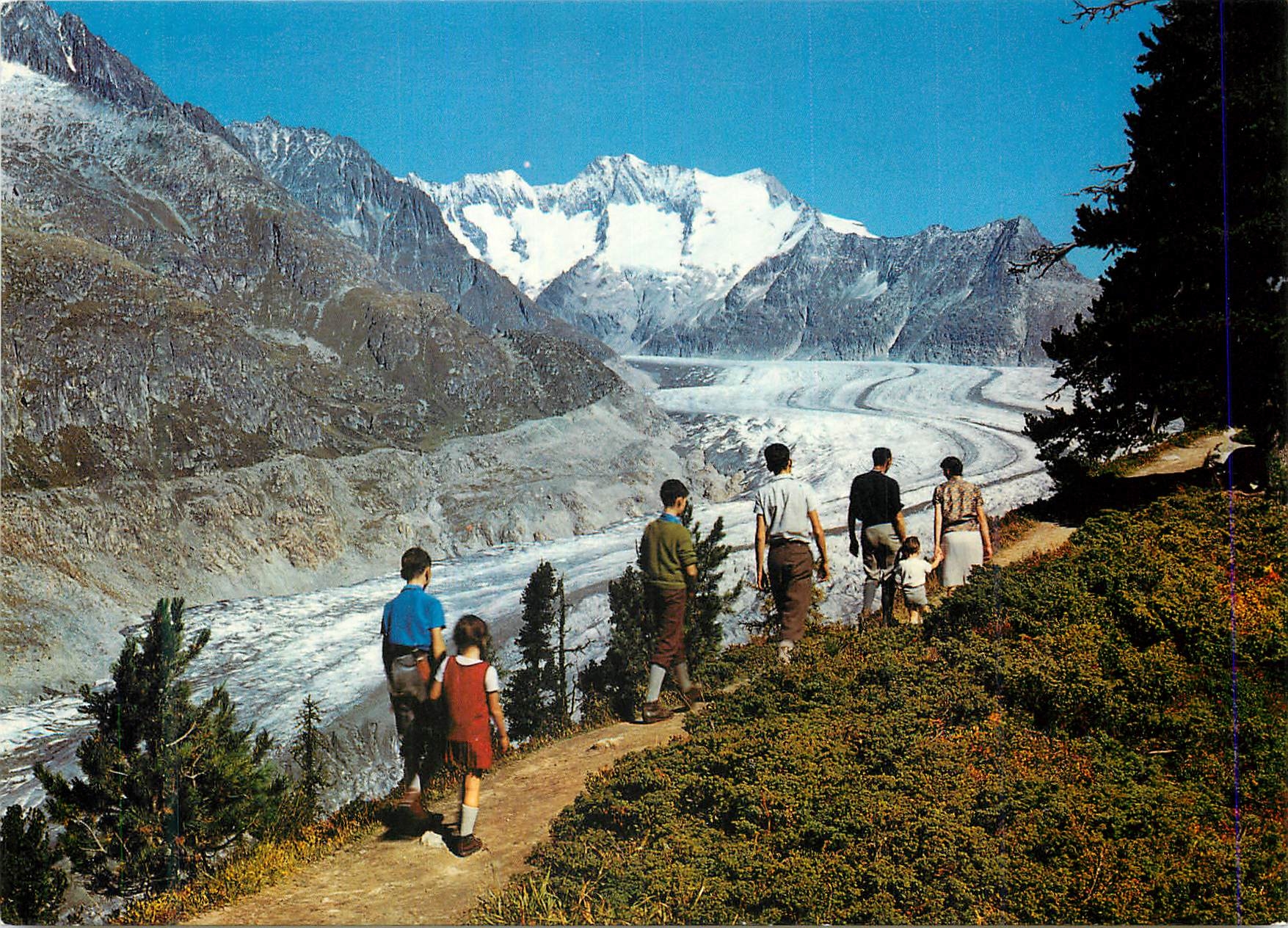 CPM Naturschutzgebeit Aletschwald am Grossen Aletschgletscher bei Reideralp Bettmeralp Wallis Wannenhorn