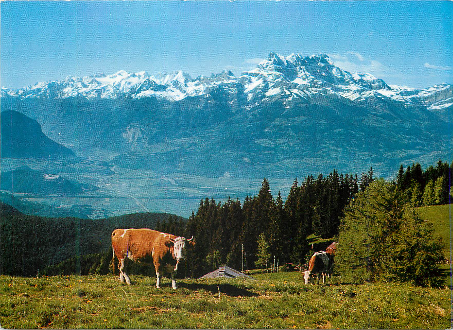 CPM Leysin Prafandaz