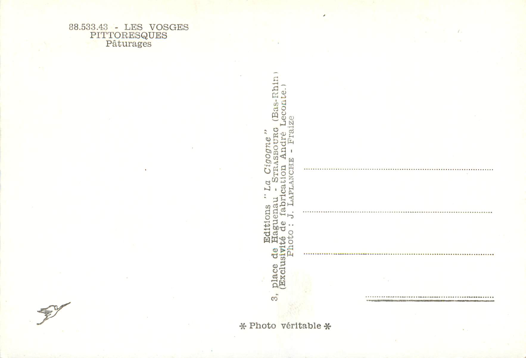 CPM Les Vosges Pittoresques Paturages Vaches — Verso
