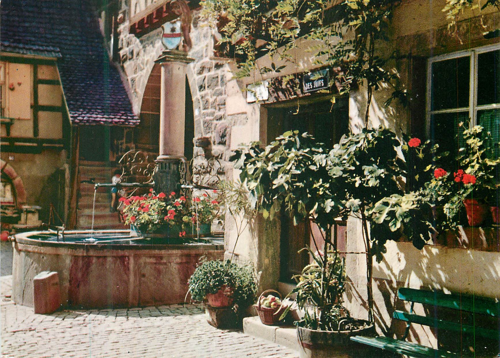 CPM Riquewihr Haut Rhin Porte fortifiee avec herse xve siecle plus ancienne que la tour de Londres Vieille fontaine